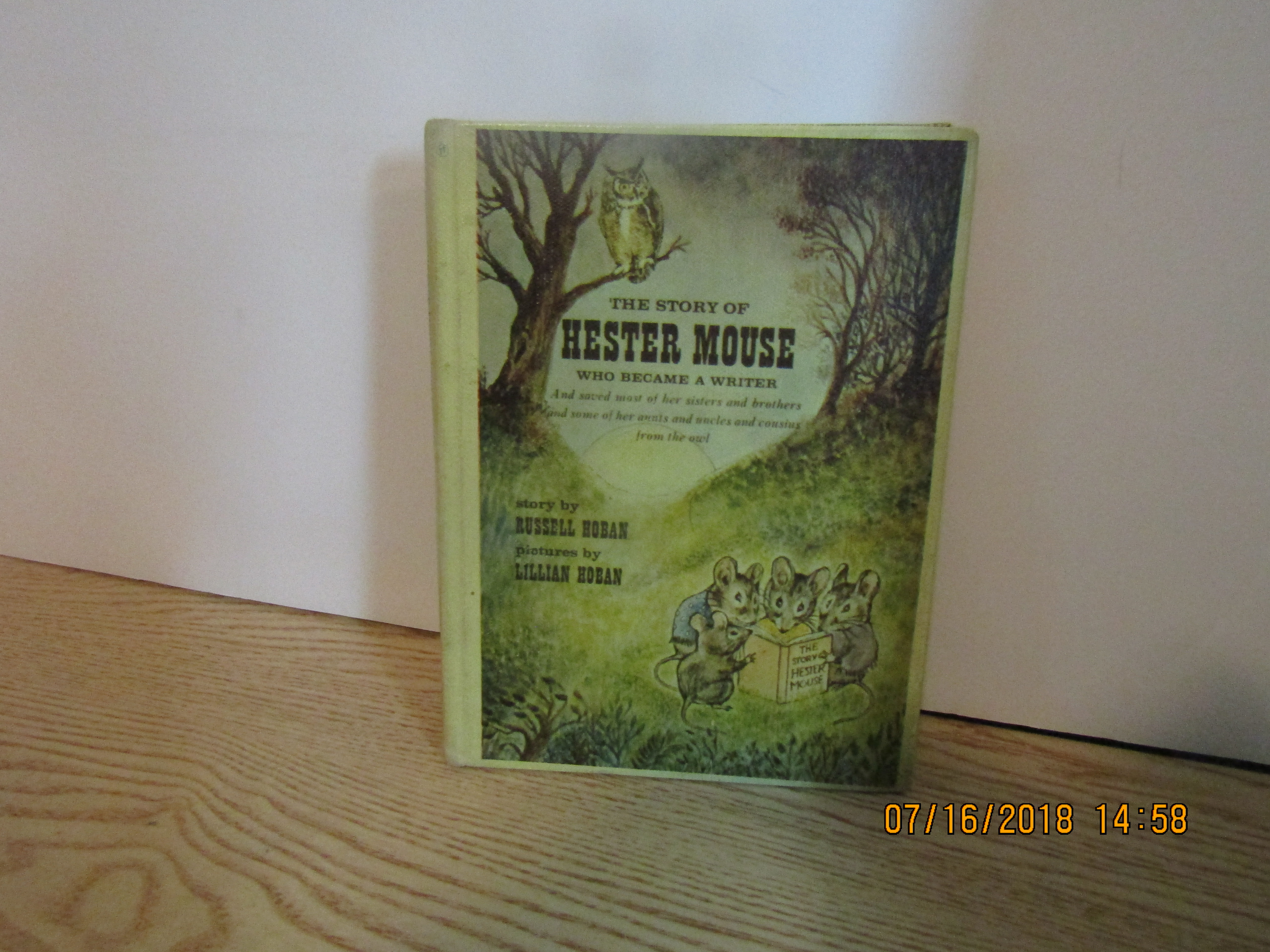 The Story Of Hester Mouse Who Became A Writer