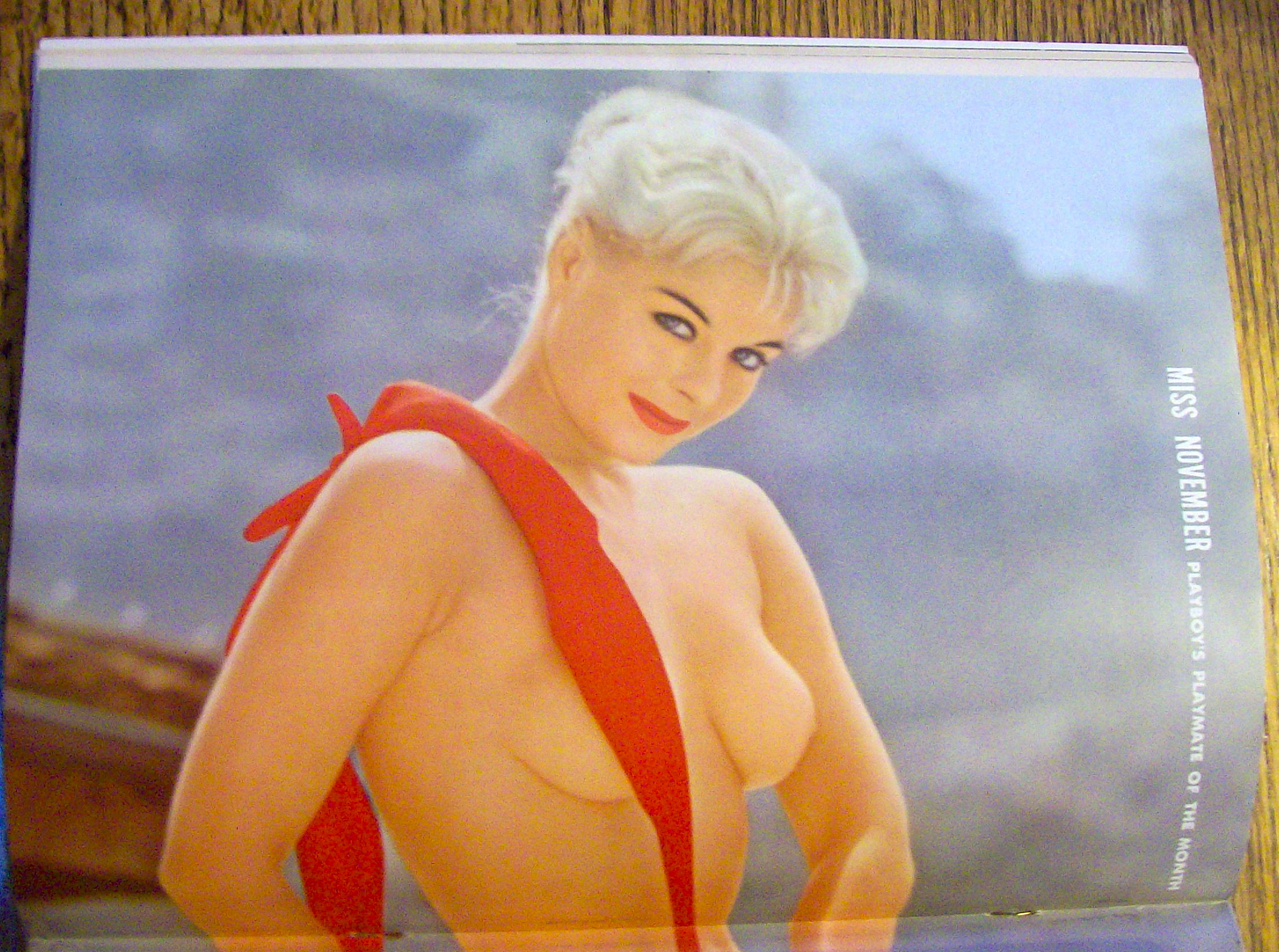 Playboy Magazine-November 1959-Donna Lynn