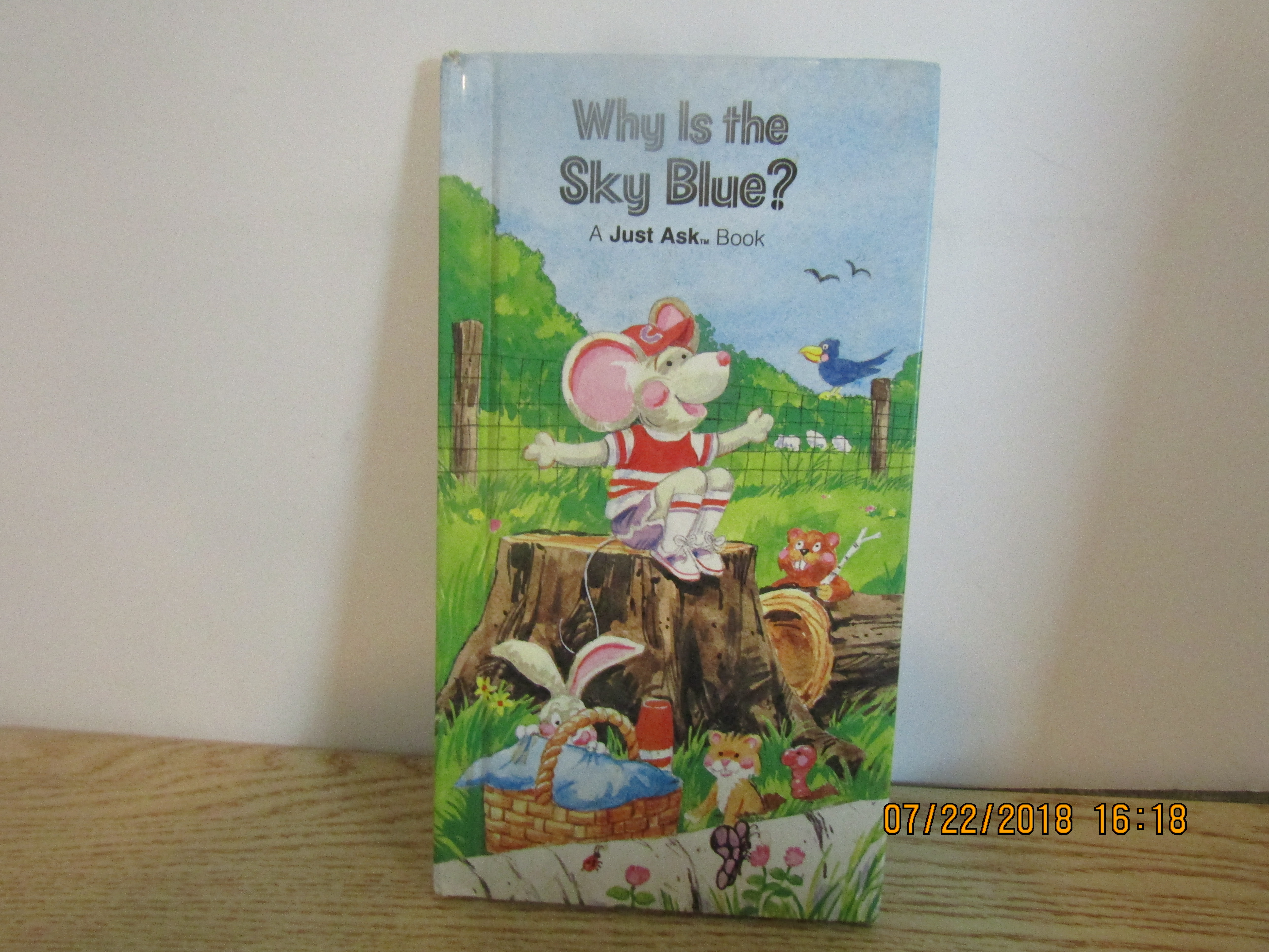 Children's Early Reader Why Is The Sky Blue