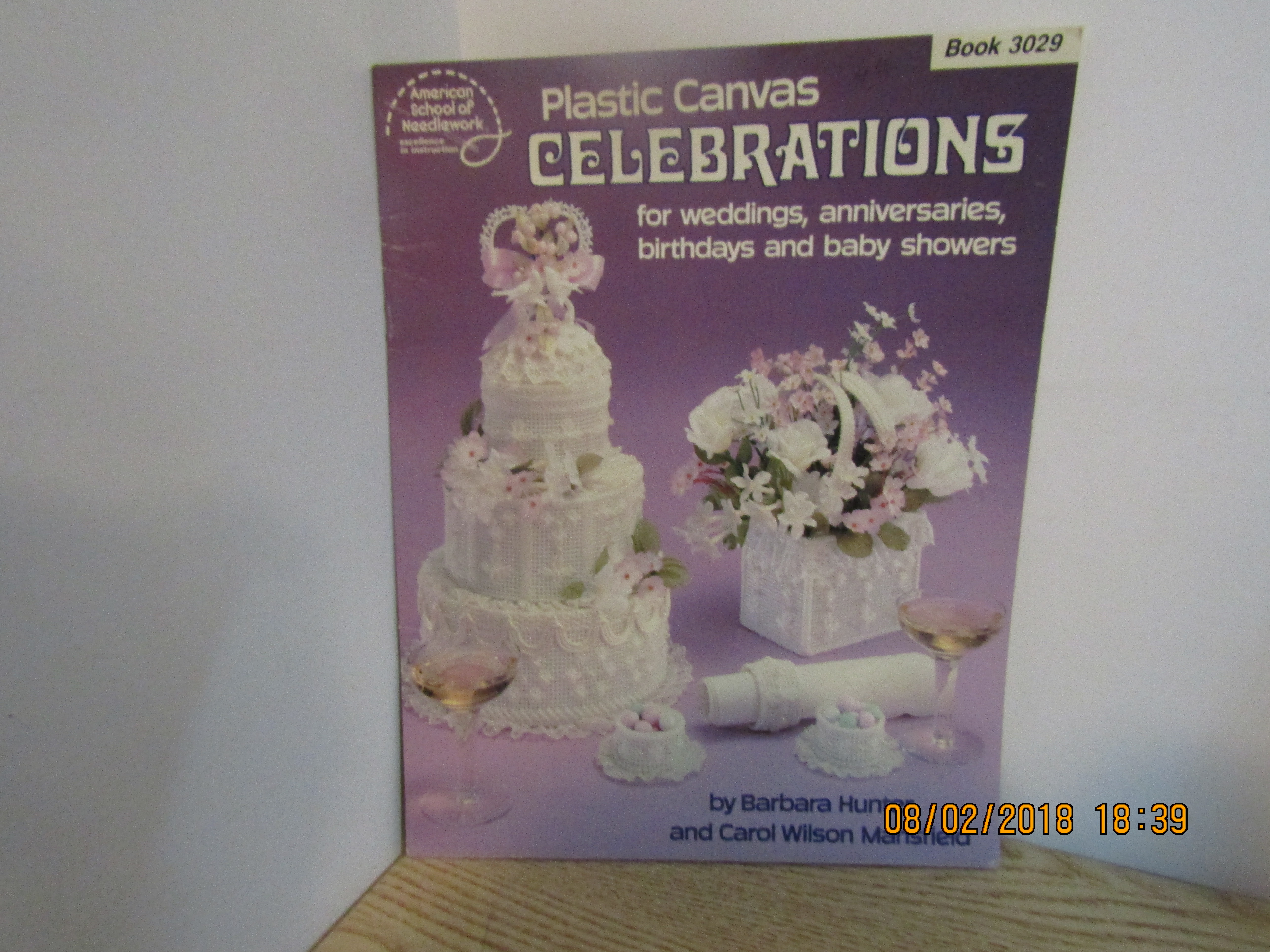 ASN Plastic Canvas Celebrations #3029