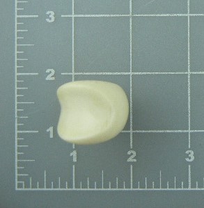 Carved Bone Ring