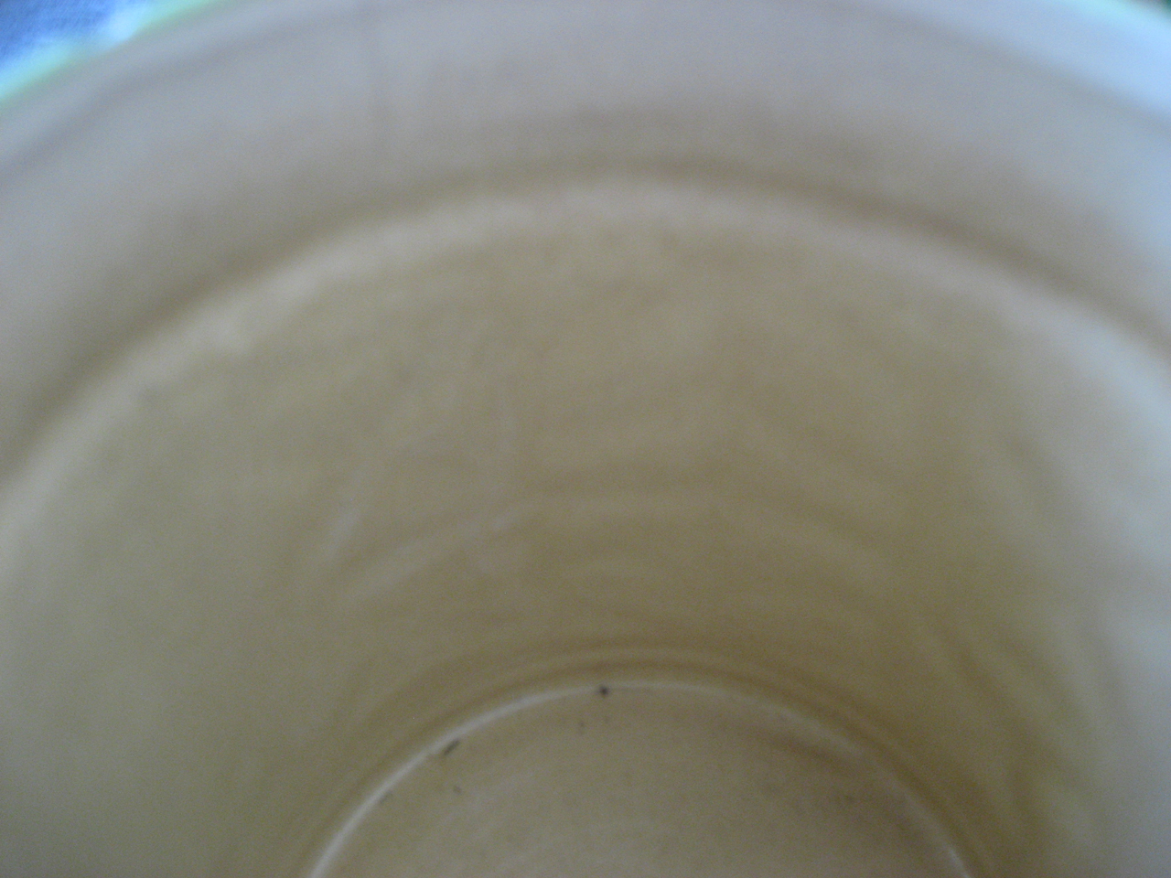 Stein Pitcher Set