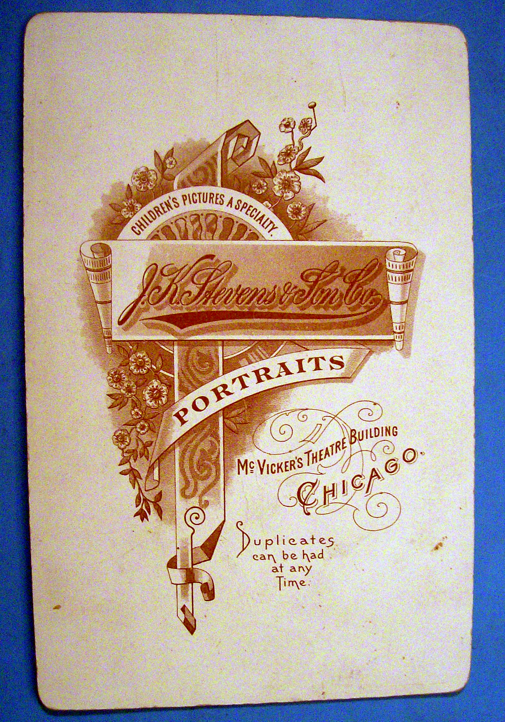Picture Perfect - Cabinet Photo of a Victorian Woman