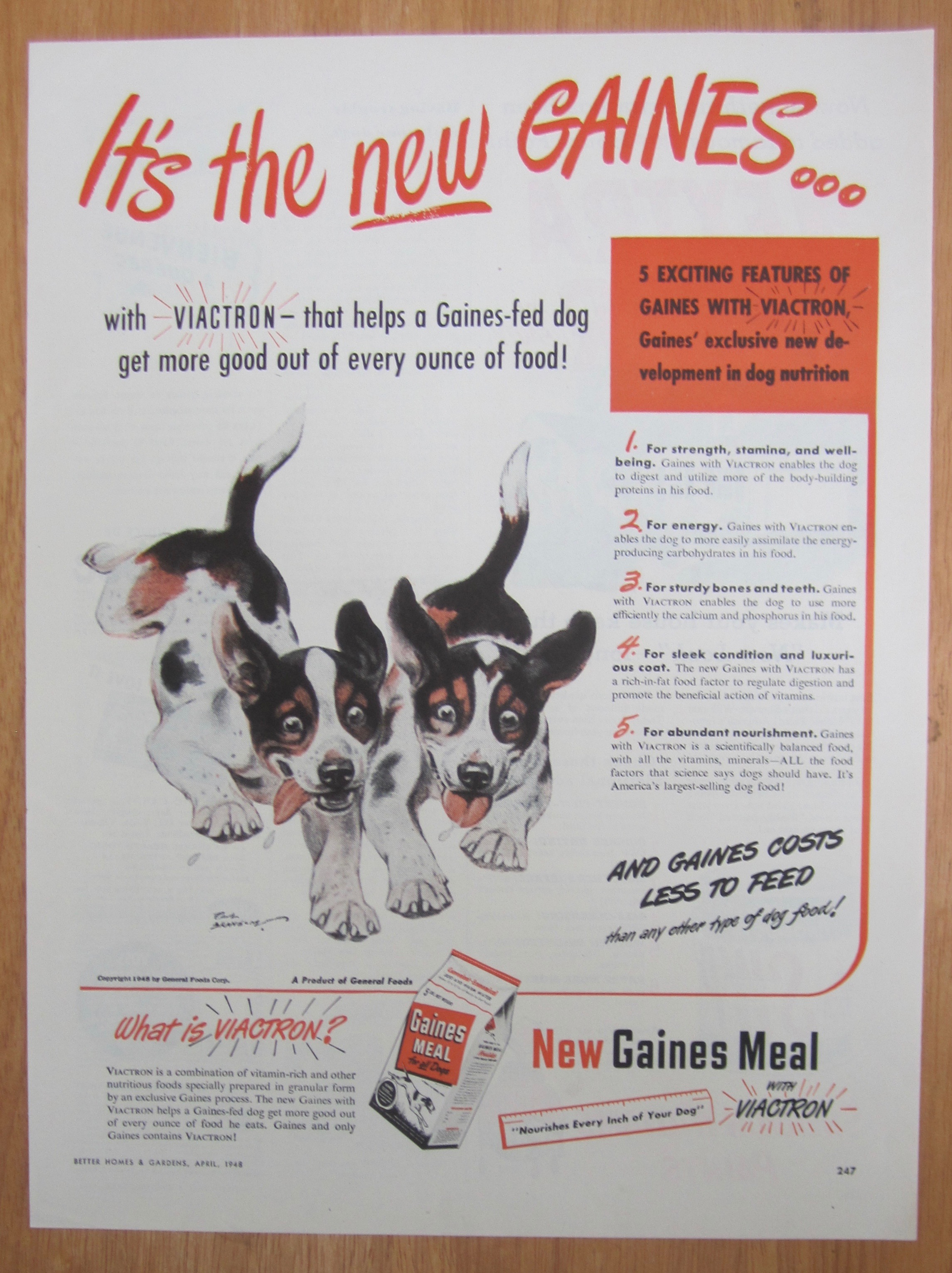 1948 Gaines Meal with Two Puppies Running