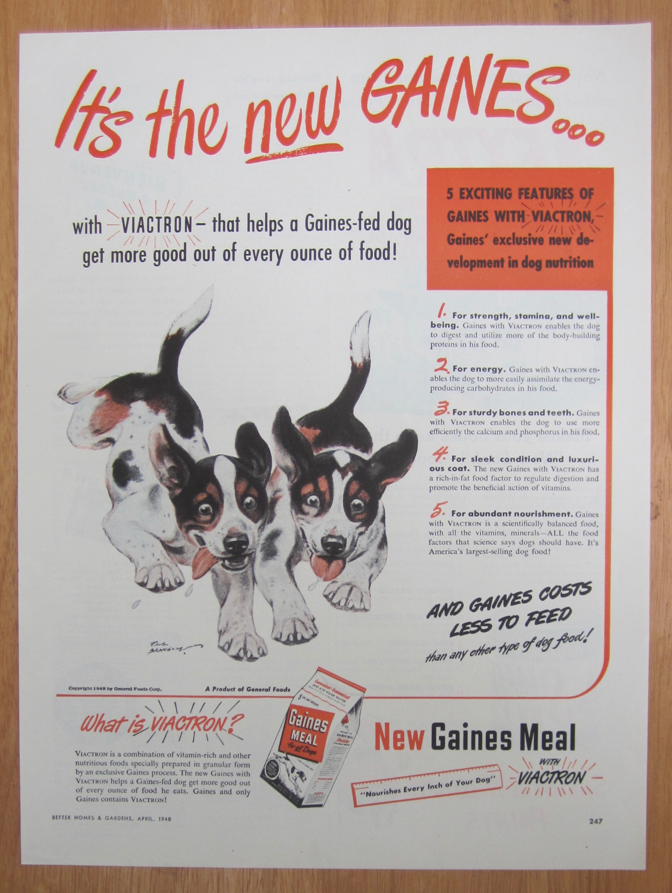 1948 Gaines Meal with Two Puppies Running