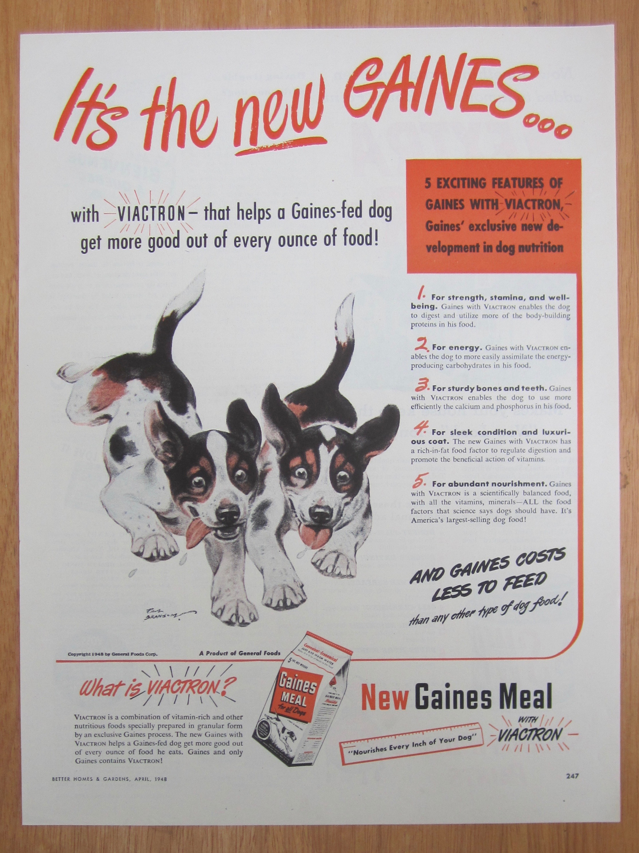 1948 Gaines Meal with Two Puppies Running