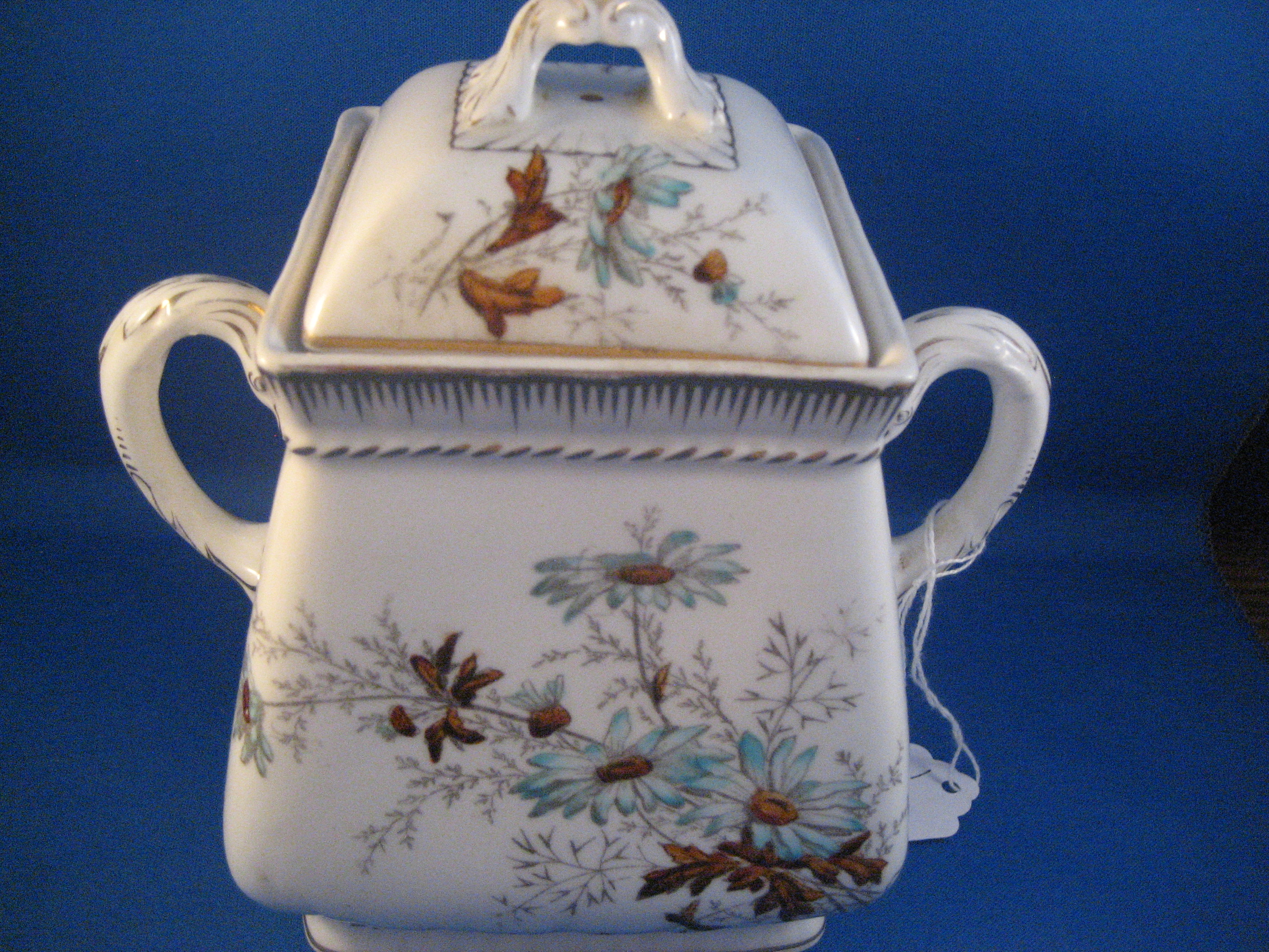 Royal Semi John Maddock and Sons Buscuit Jar