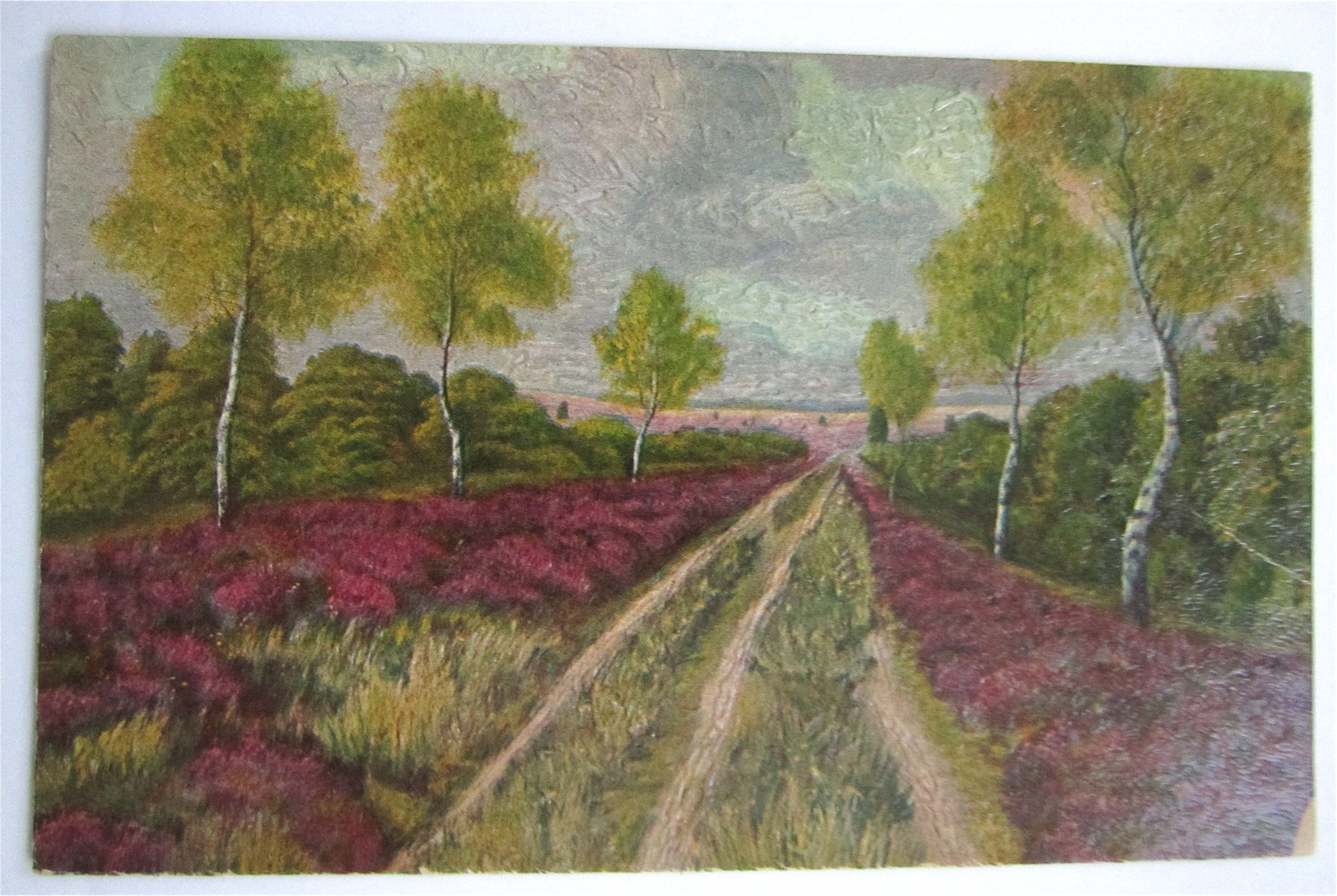 Road In The Heath Postcard
