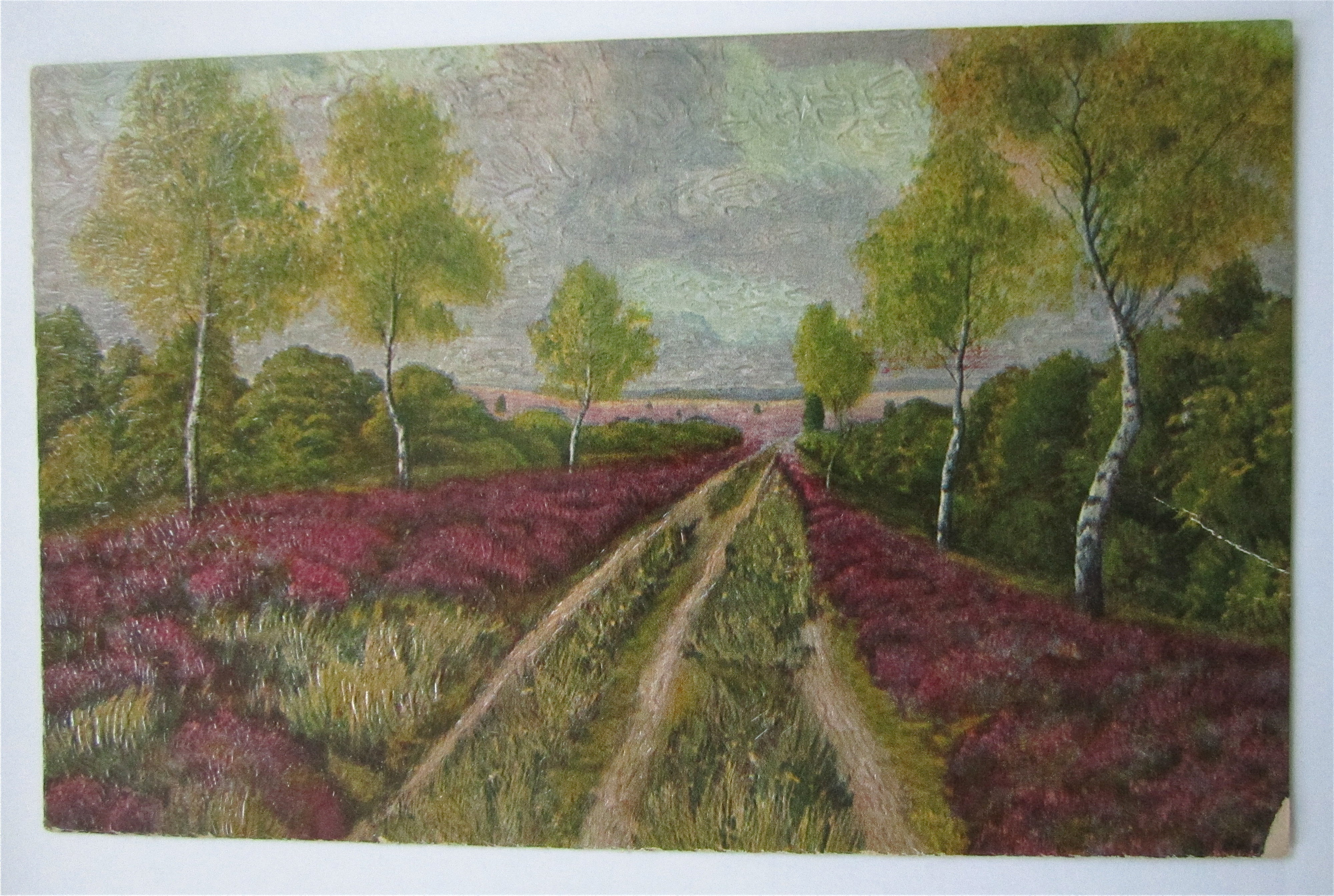 Road In The Heath Postcard
