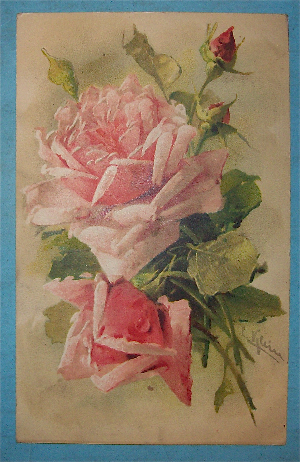 Flower Postcard with 2 Pink Roses