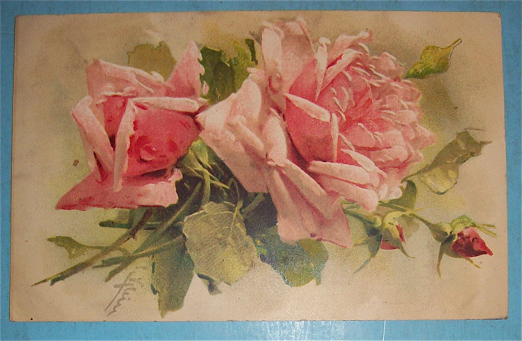 Flower Postcard with 2 Pink Roses