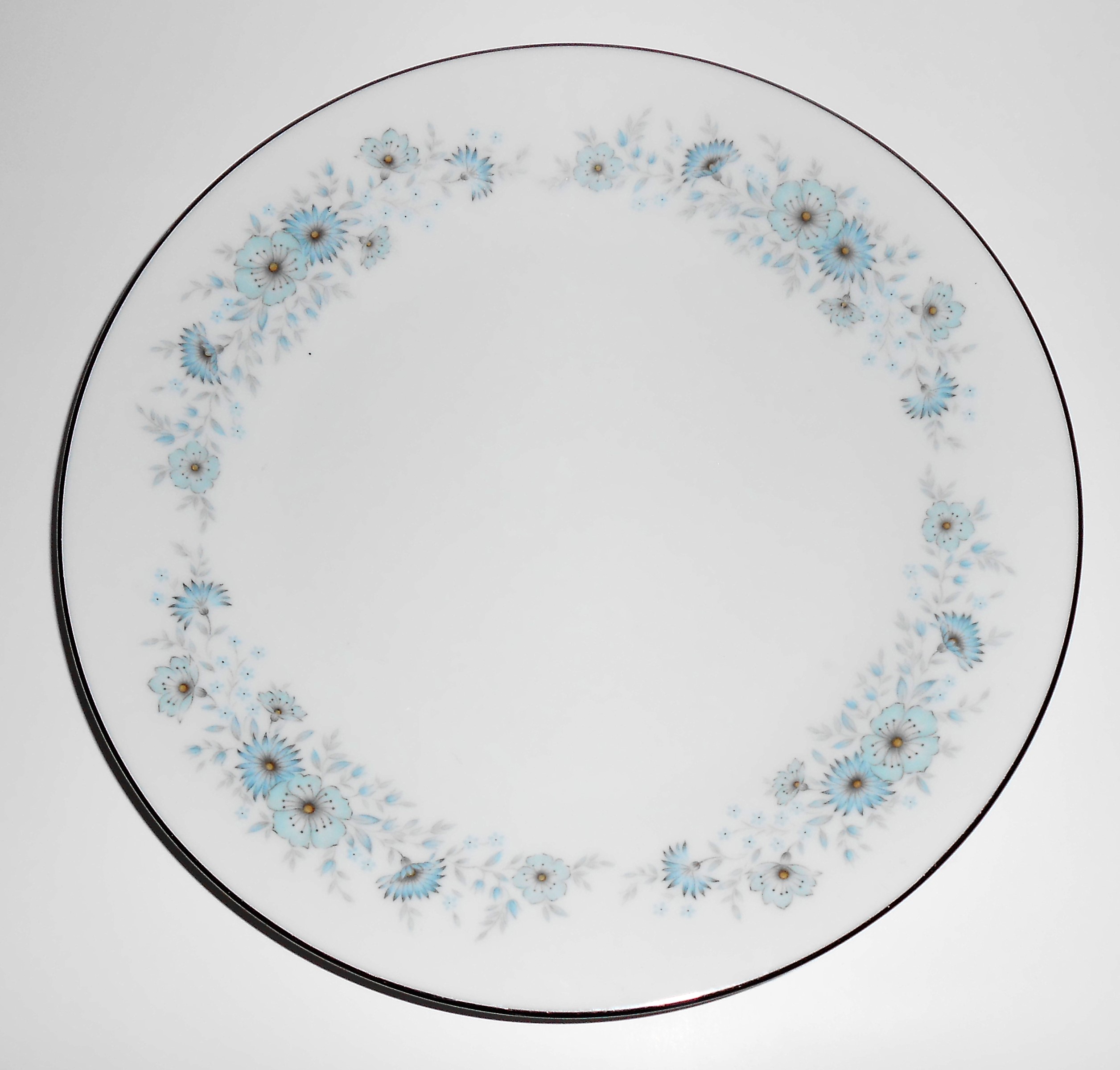 Noritake Porcelain China 6716 Inverness w/Platinum Sala