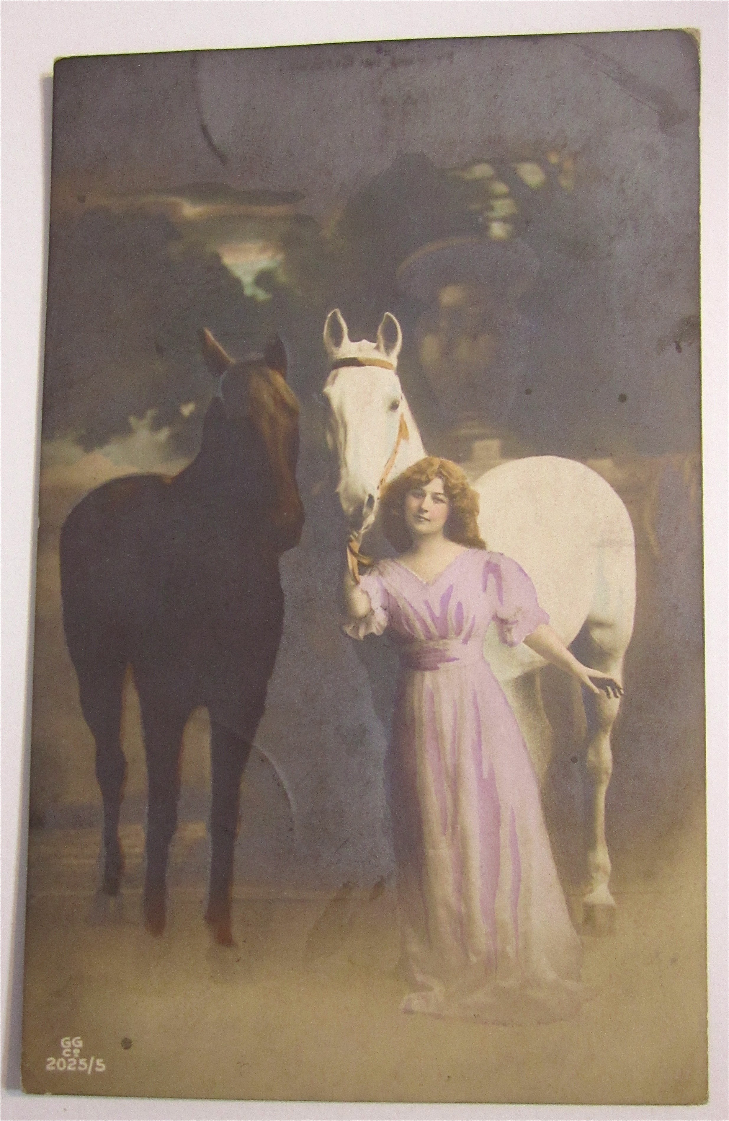 A Woman and Her Horse Postcard