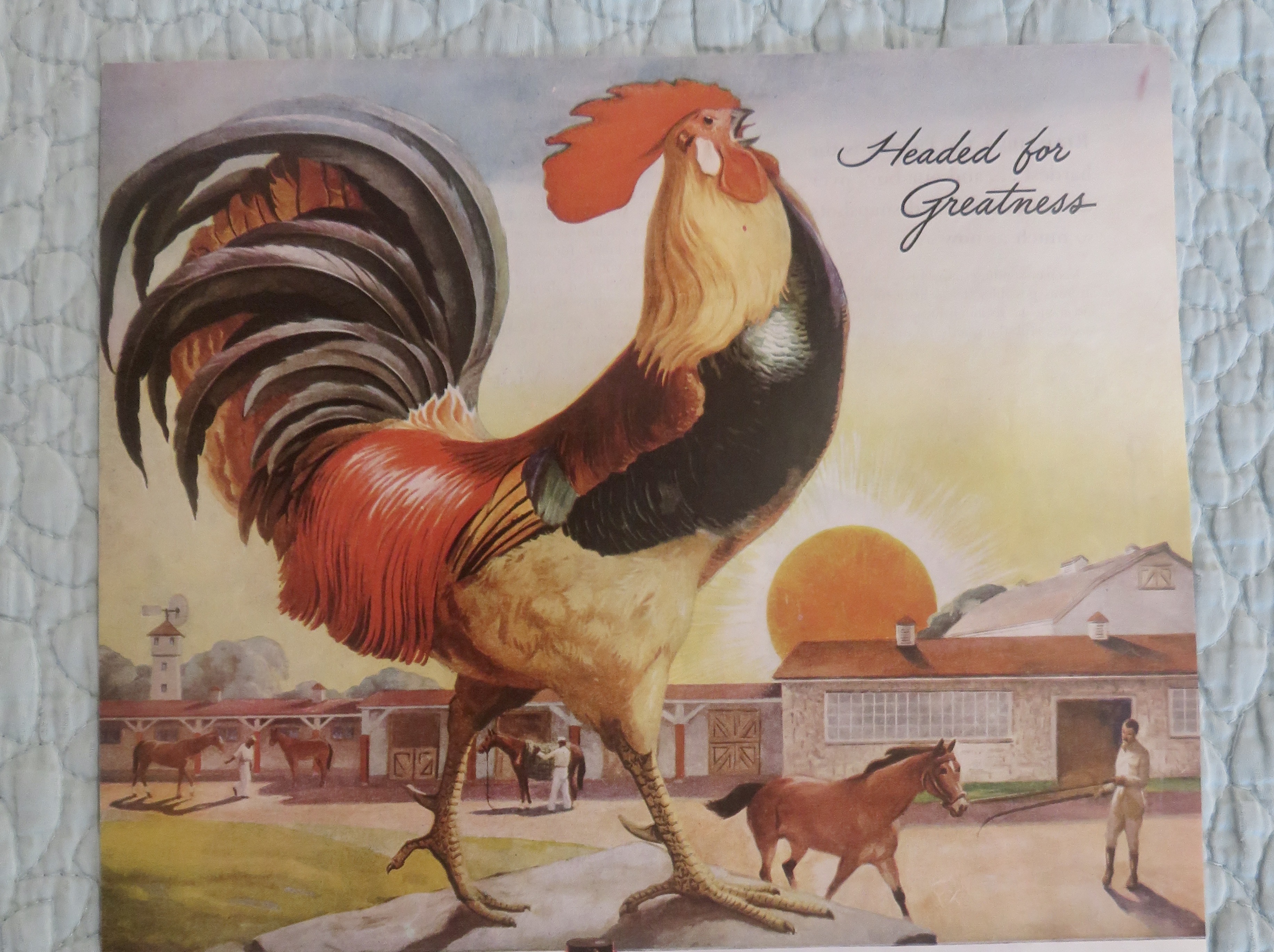 1945 Schenley Whiskey with Rooster Crowing