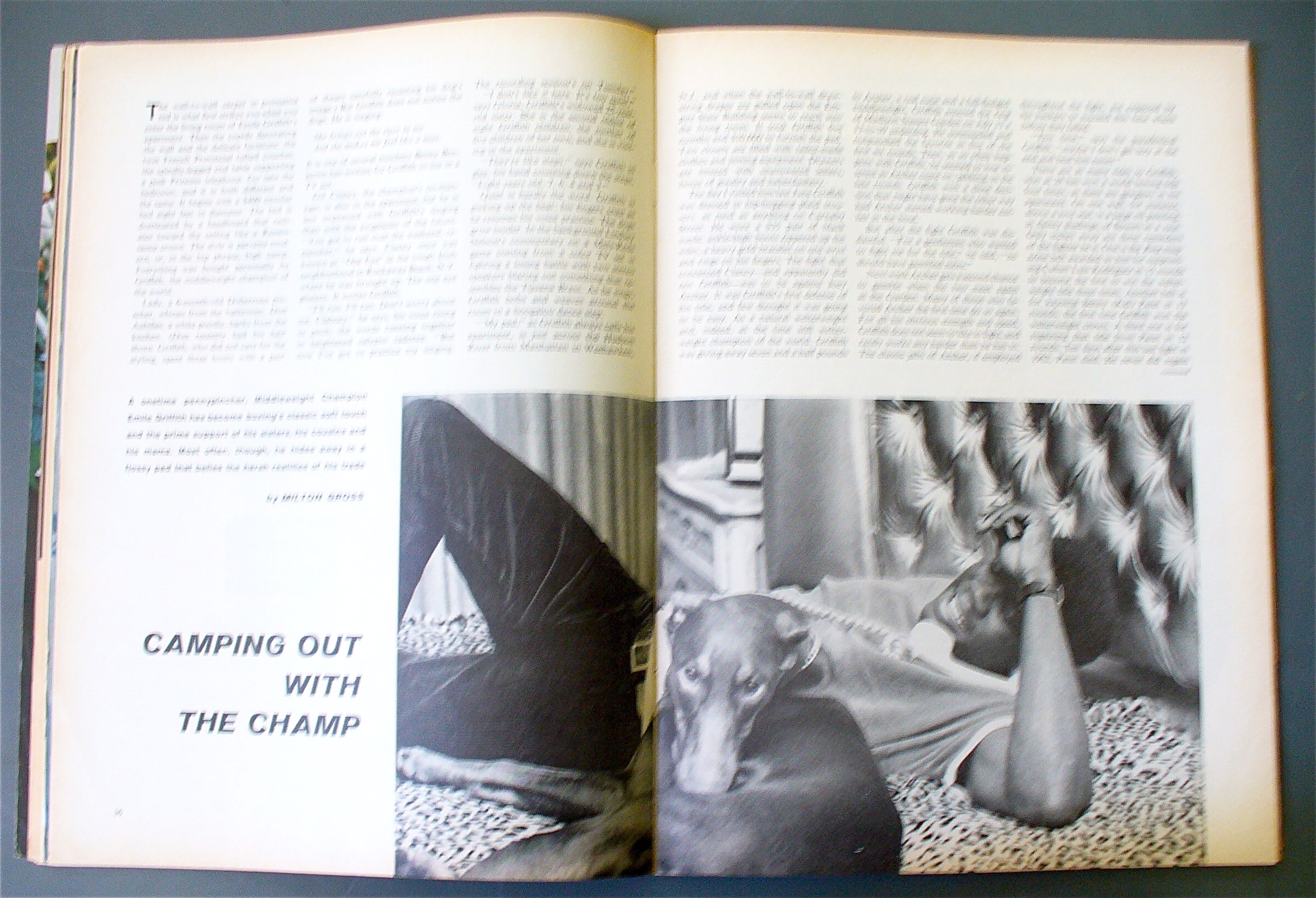 Sports Illustrated November 7, 1966 T. Hanratty
