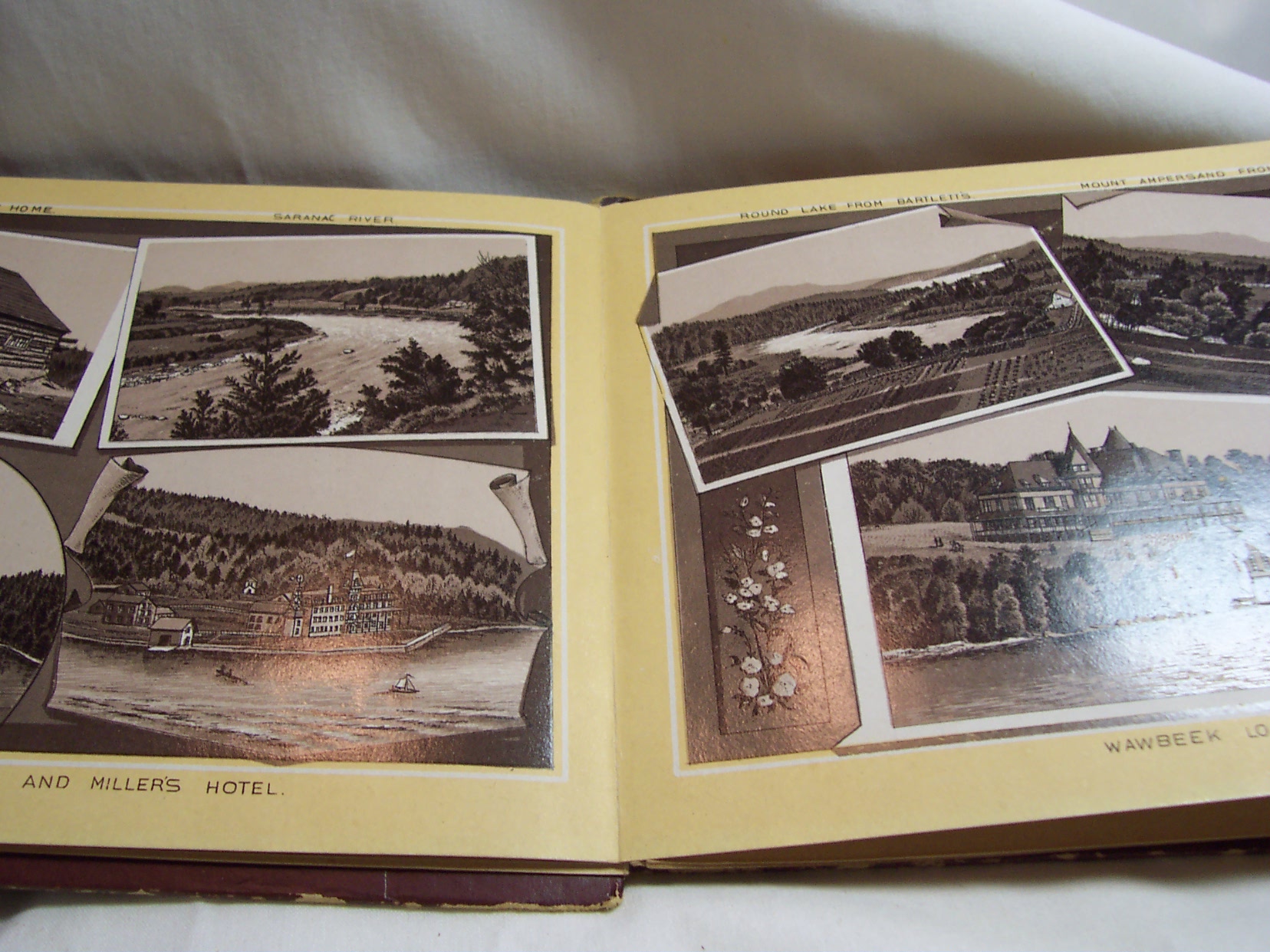 Souvenir Pictures of Adirondacks of N Y Early