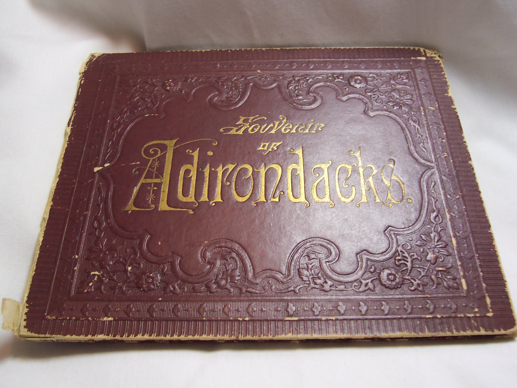 Souvenir Pictures of Adirondacks of N Y Early