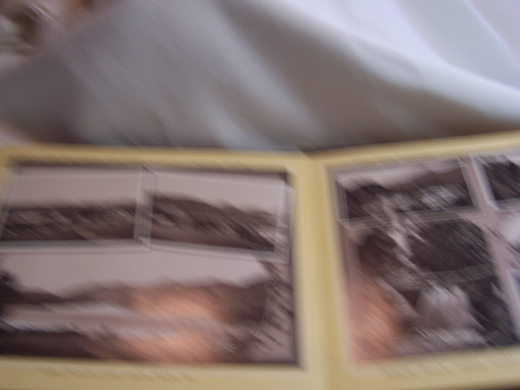 Souvenir Pictures of Adirondacks of N Y Early