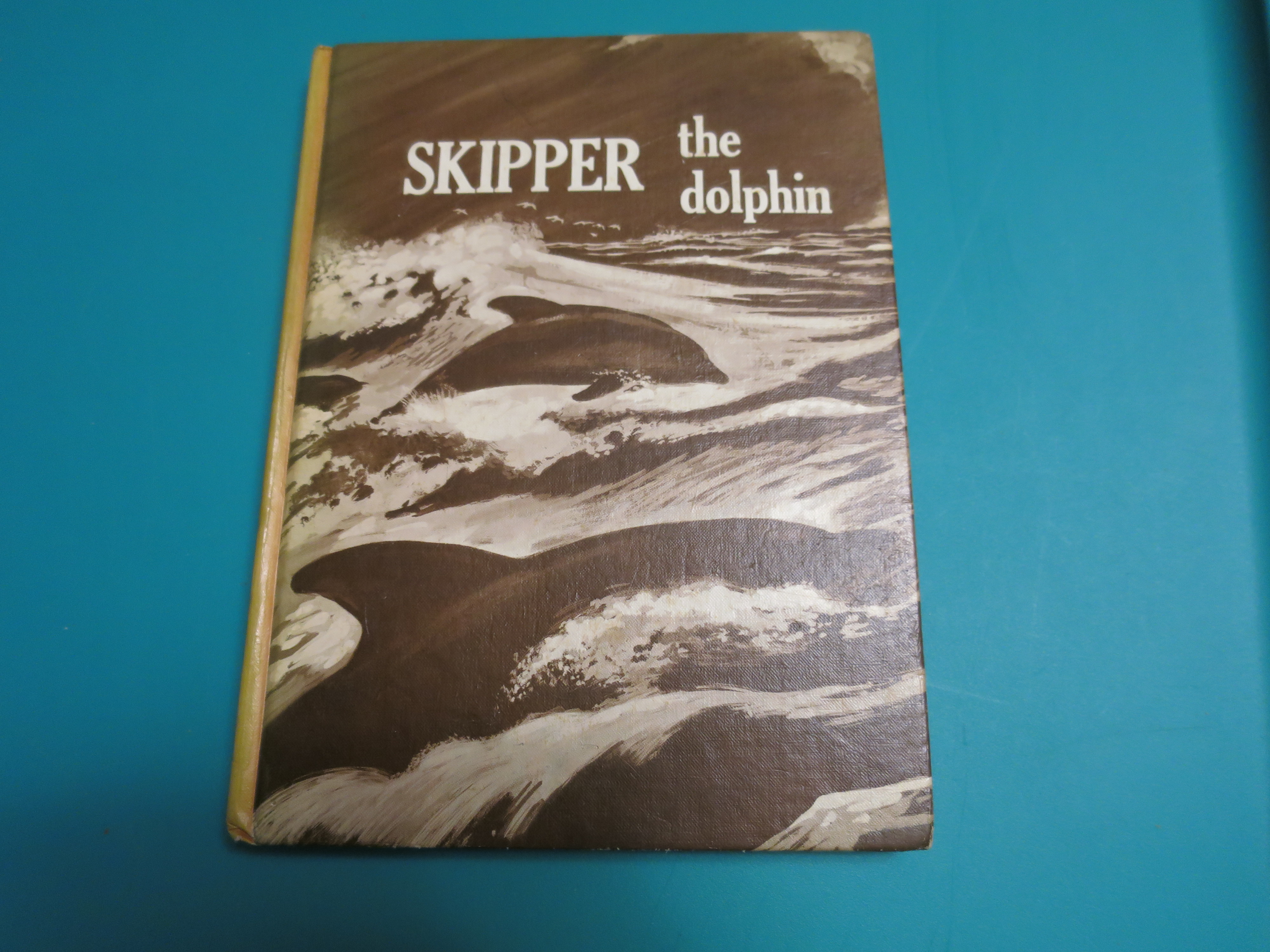 Skipper the Dolphin by Rhoda Leonard and William S. Briscoe book