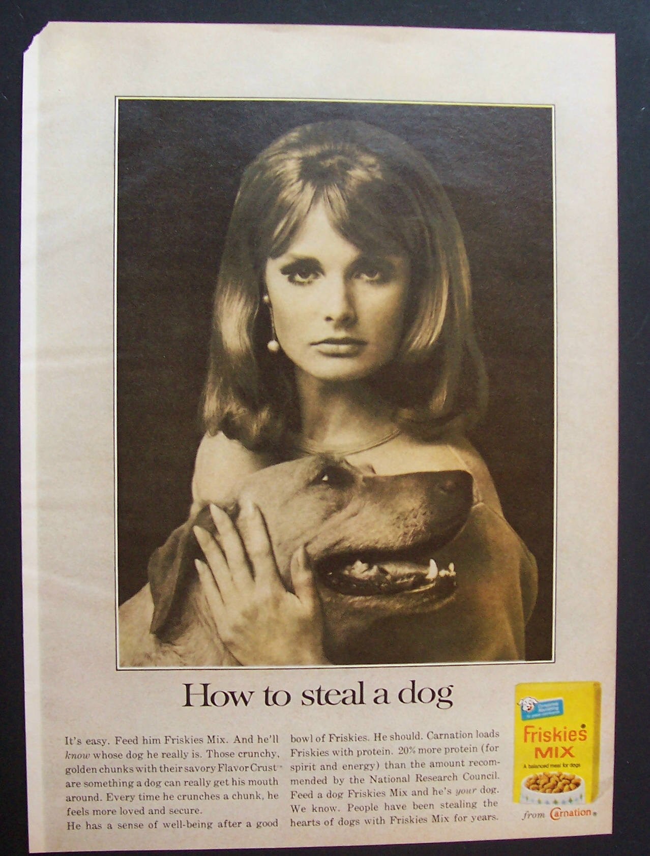 1966 Friskies Dog Mix with Woman & Her Dog