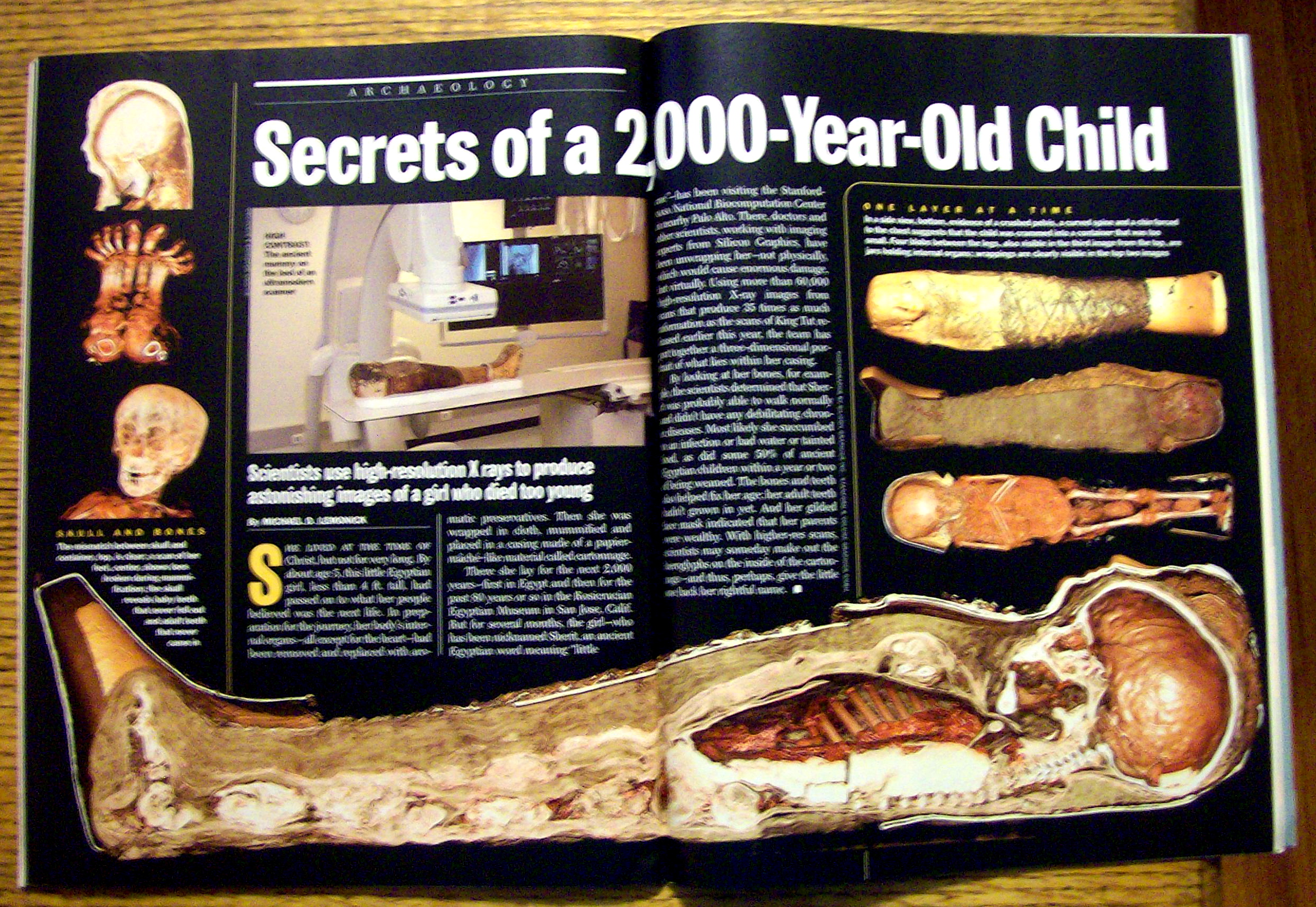 Time Magazine August 15, 2005 Evolution Wars