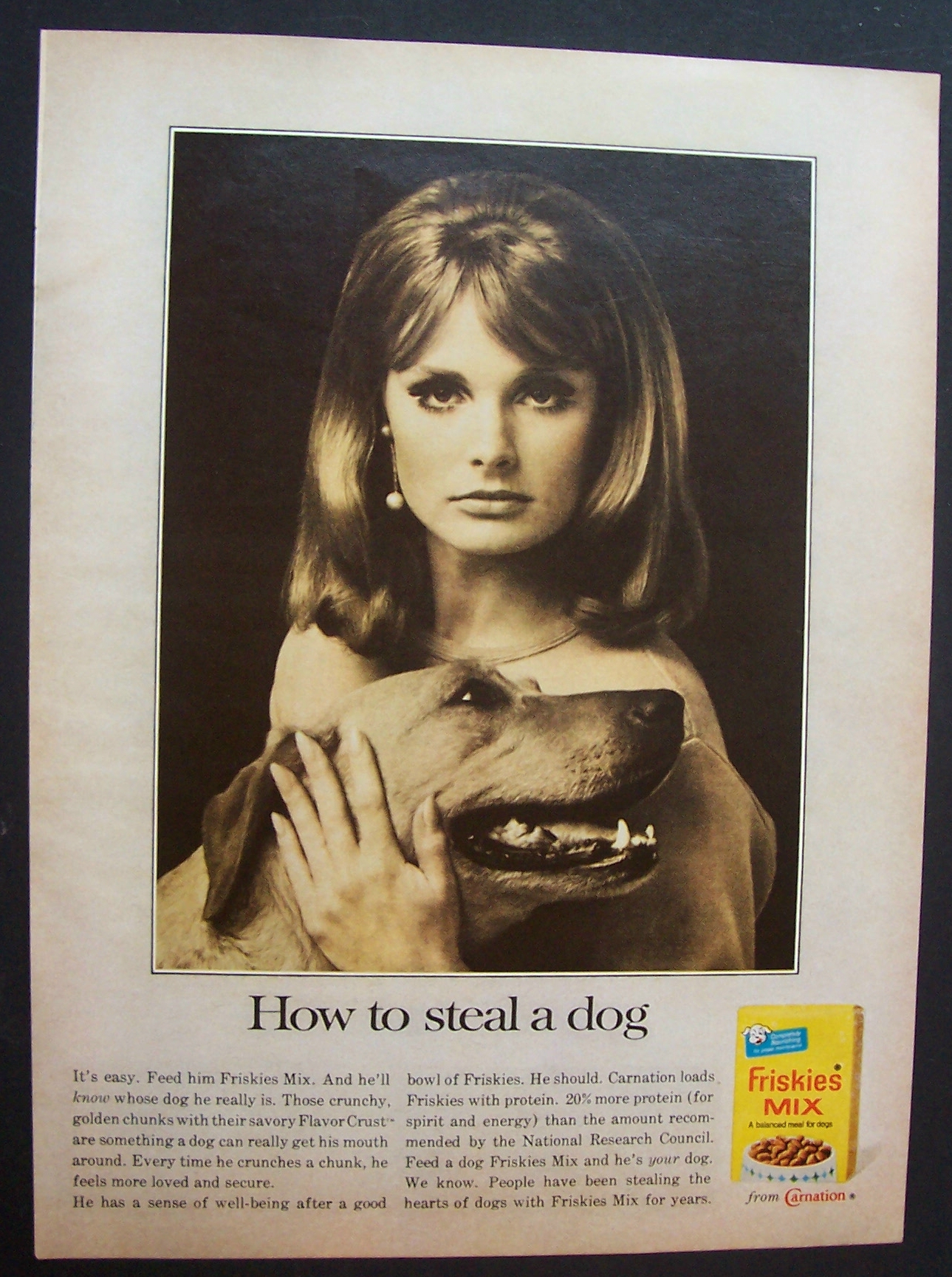1966 Friskies Dog Mix with Woman Petting a Dog
