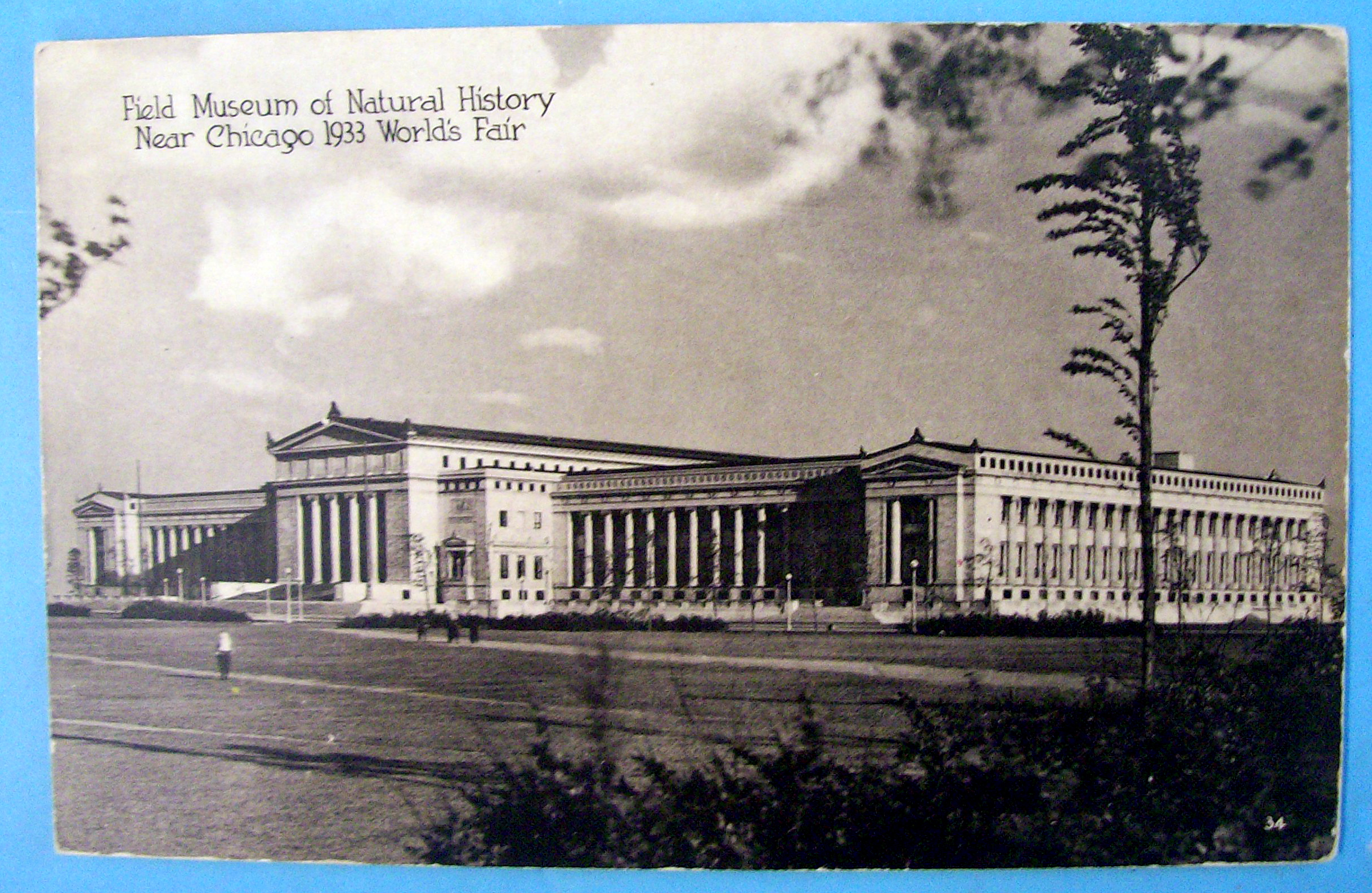 Field Museum of Natural History Postcard (Chicago Fair)