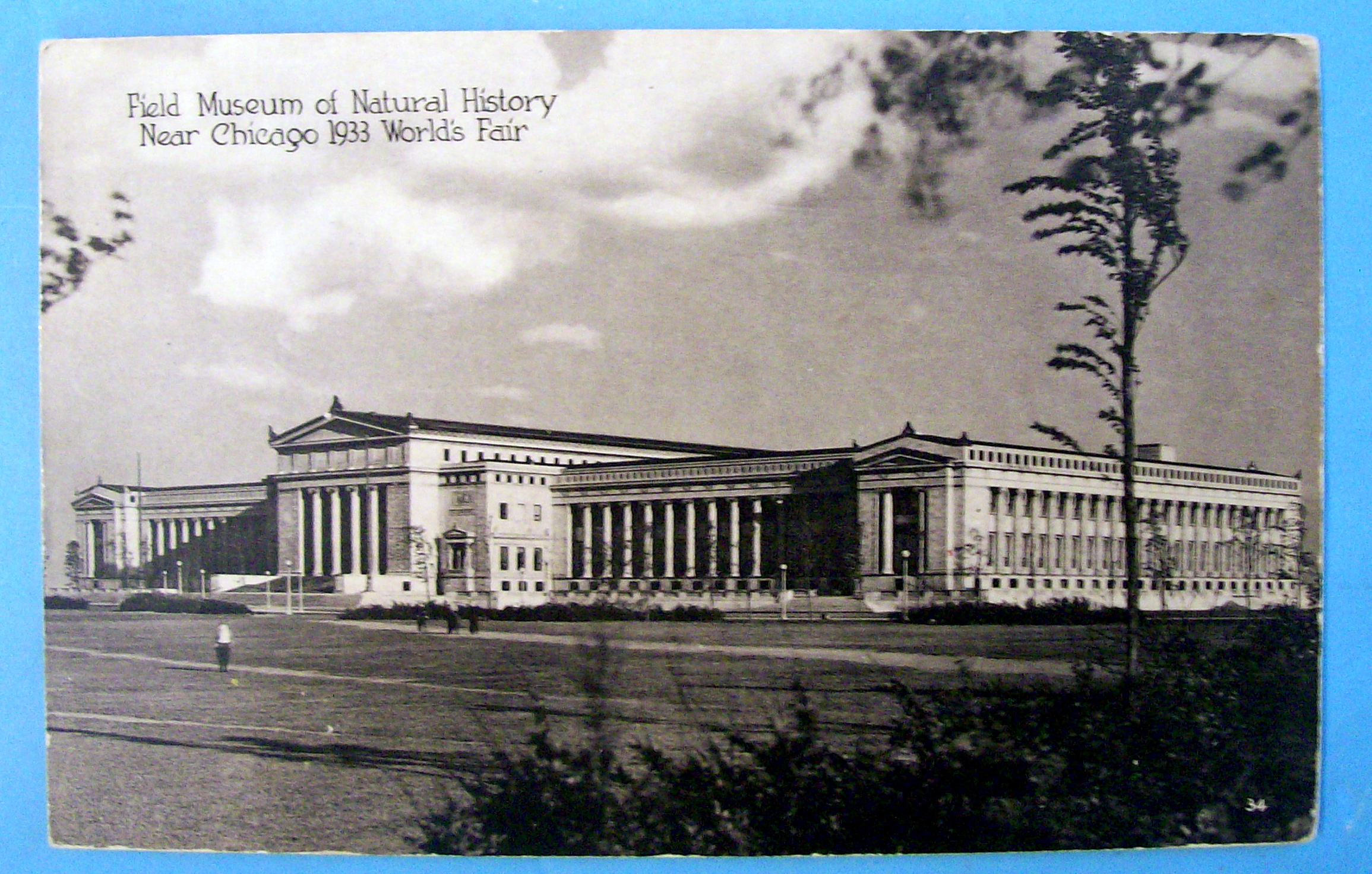 Field Museum of Natural History Postcard (Chicago Fair)