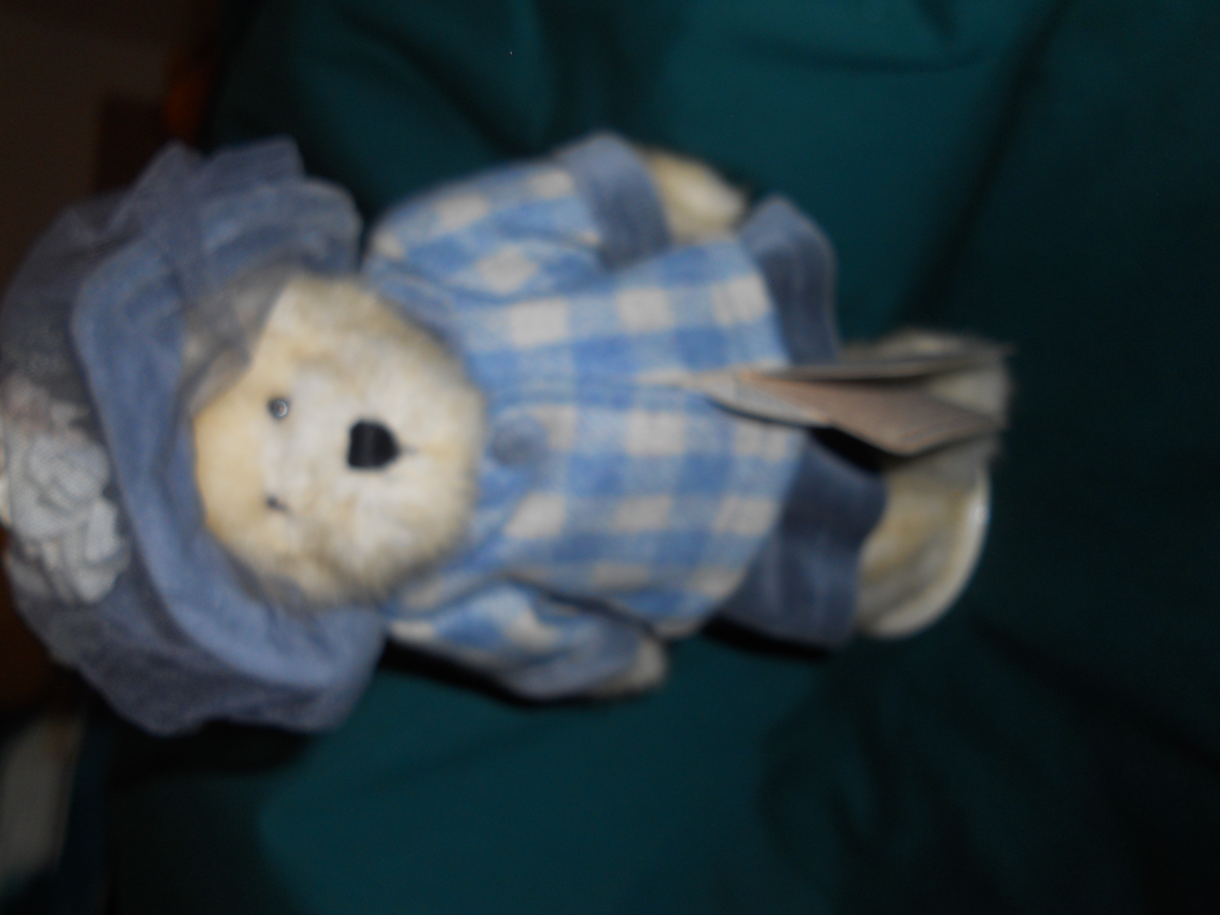 Boyds Bear Mary Margaret Best Dressed Collect
