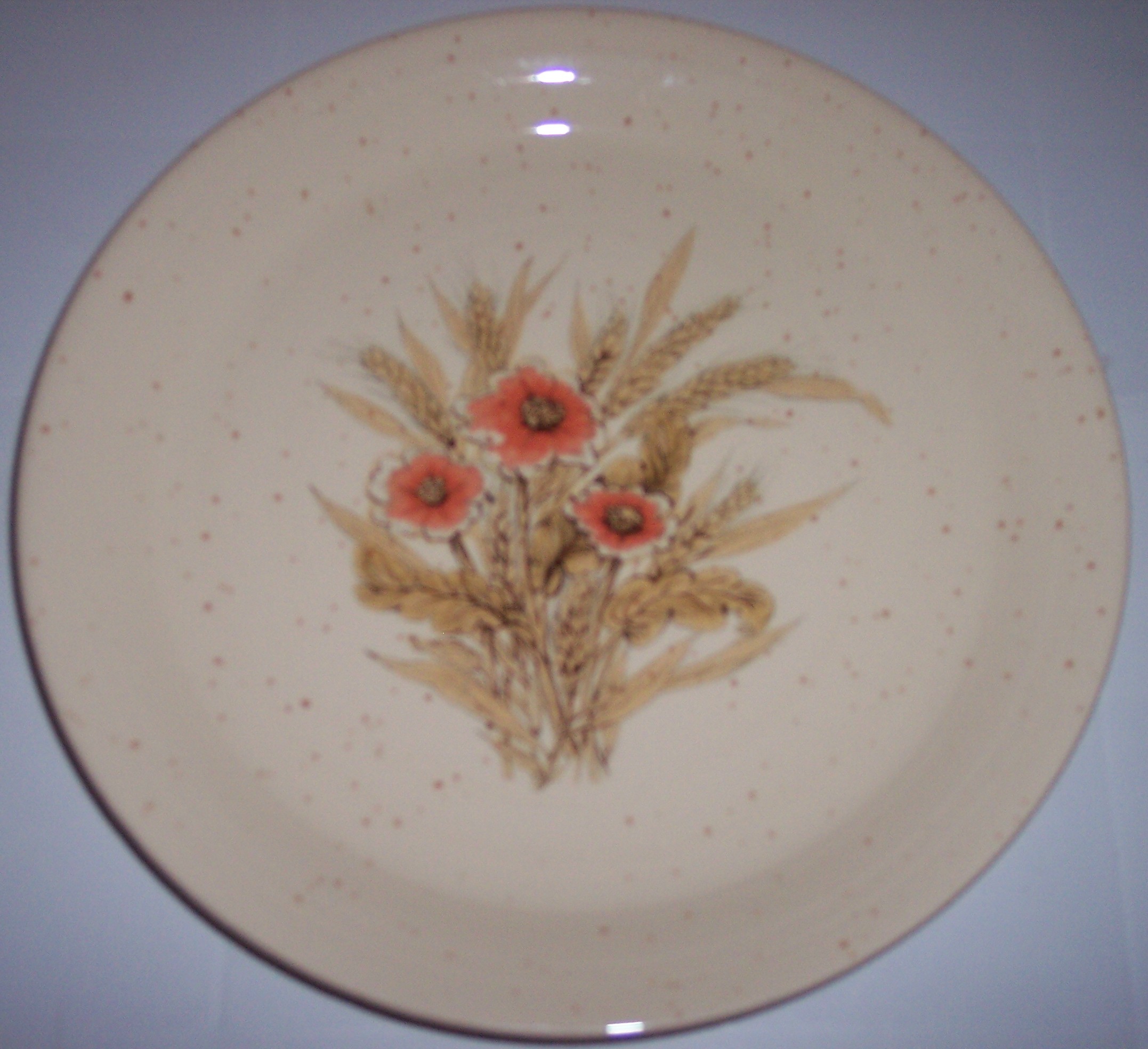 Franciscan Pottery Experimental Dinner Plate!