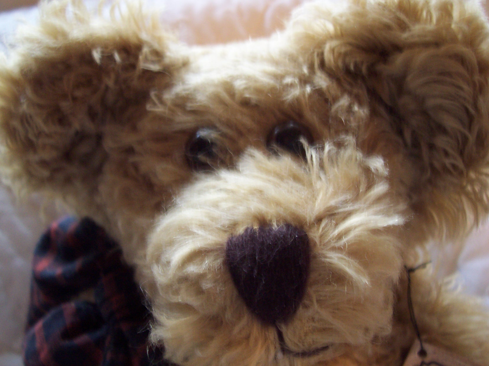 Boyds Mohair Bear Uncle Gus with Tags