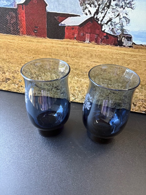 Pfaltzgraff Yorktowne 16 floz 2pc Tumblers