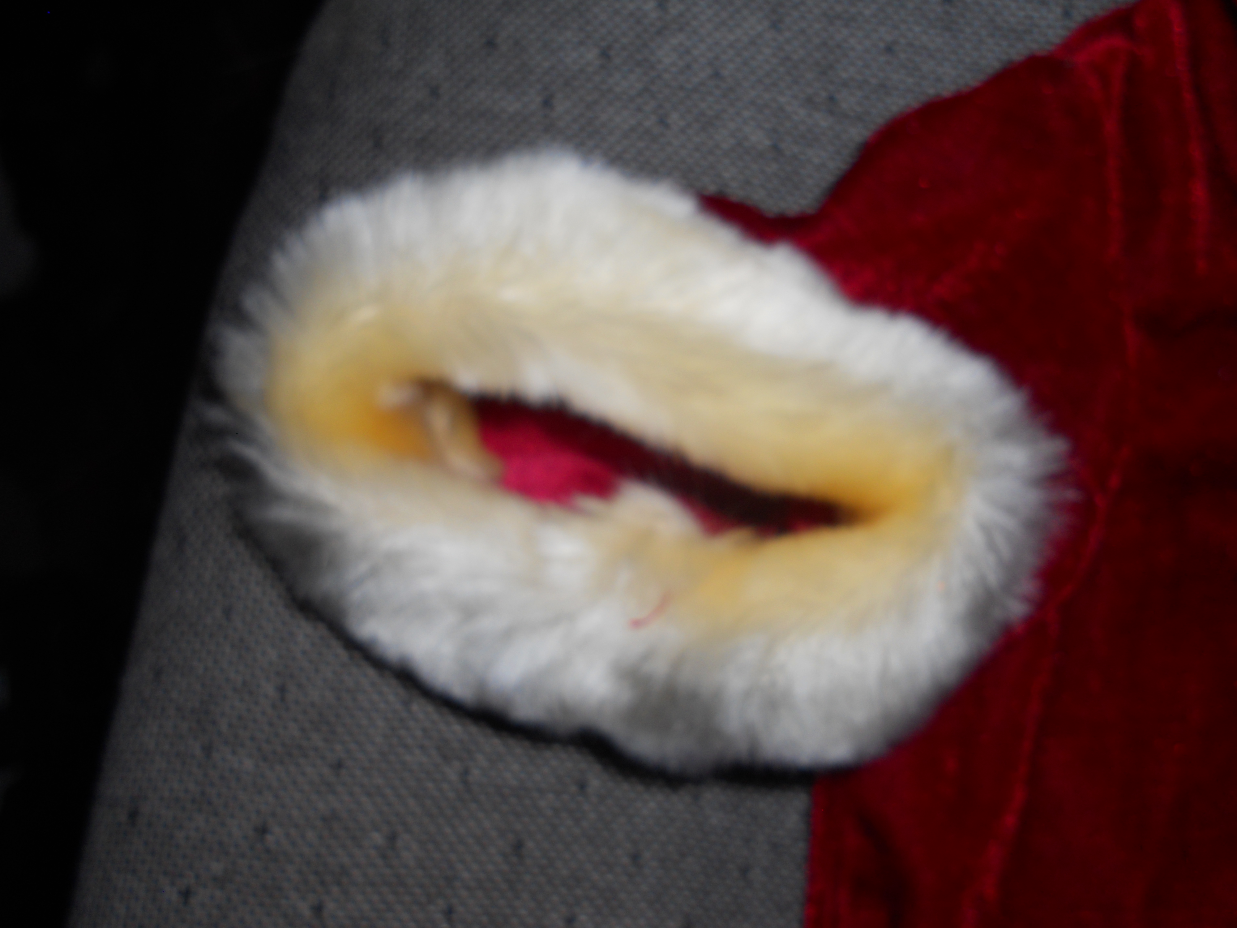 Doll Jacket Fur Trimmed Red Velour larger