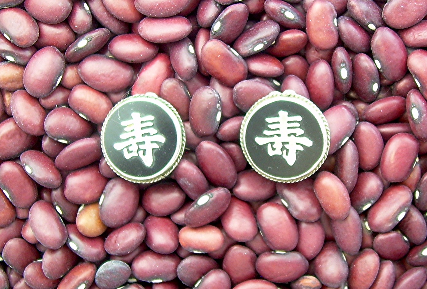 Sterling Silver Black Onyx Oriental Clip Earrings