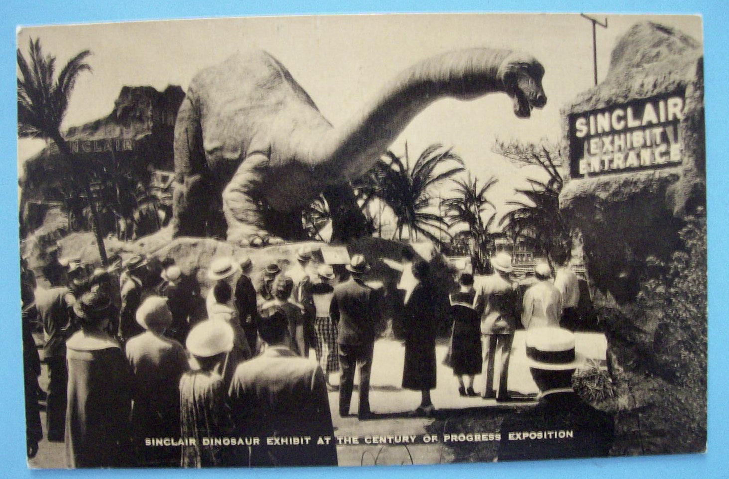 Sinclair Dinosaur Exhibit Postcard-Century Of Progress