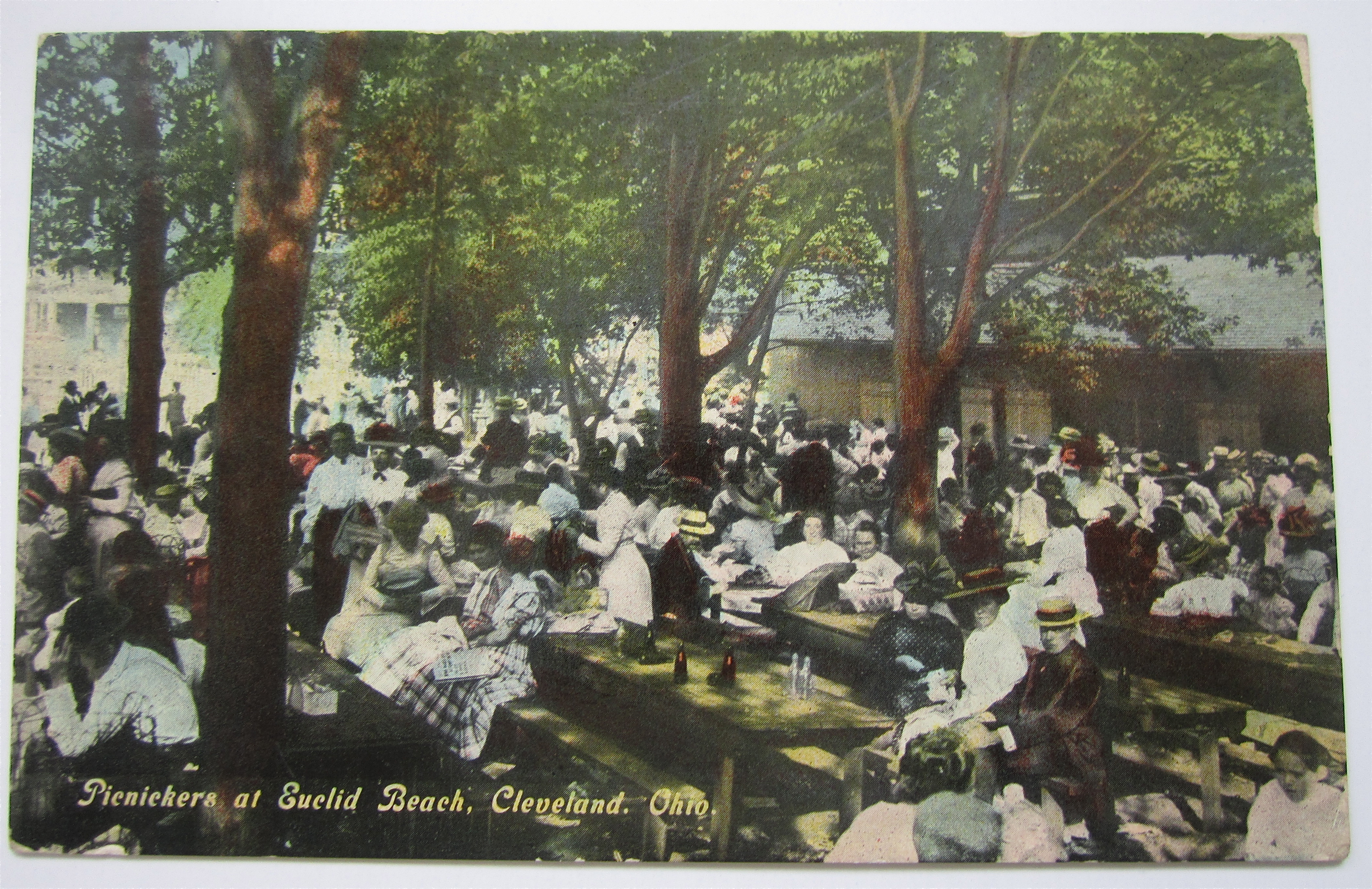 Picnickers at Euclid Beach, Cleveland, Ohio Postcard