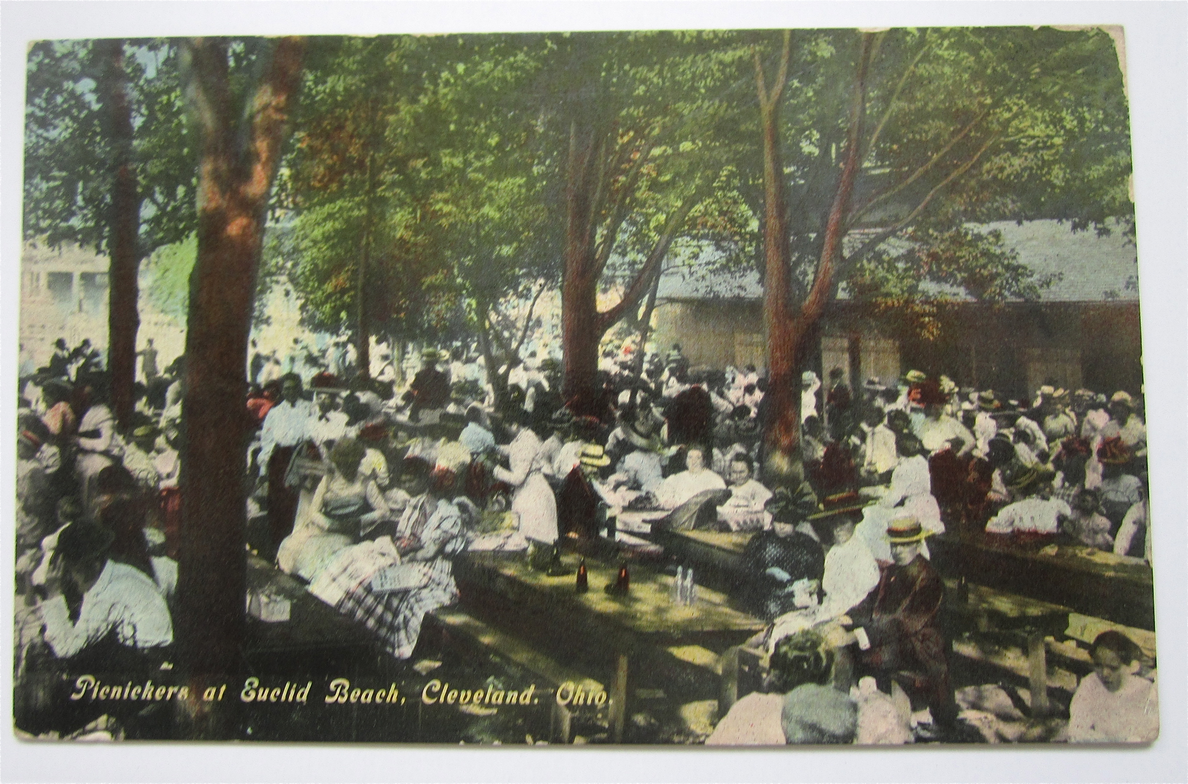 Picnickers at Euclid Beach, Cleveland, Ohio Postcard
