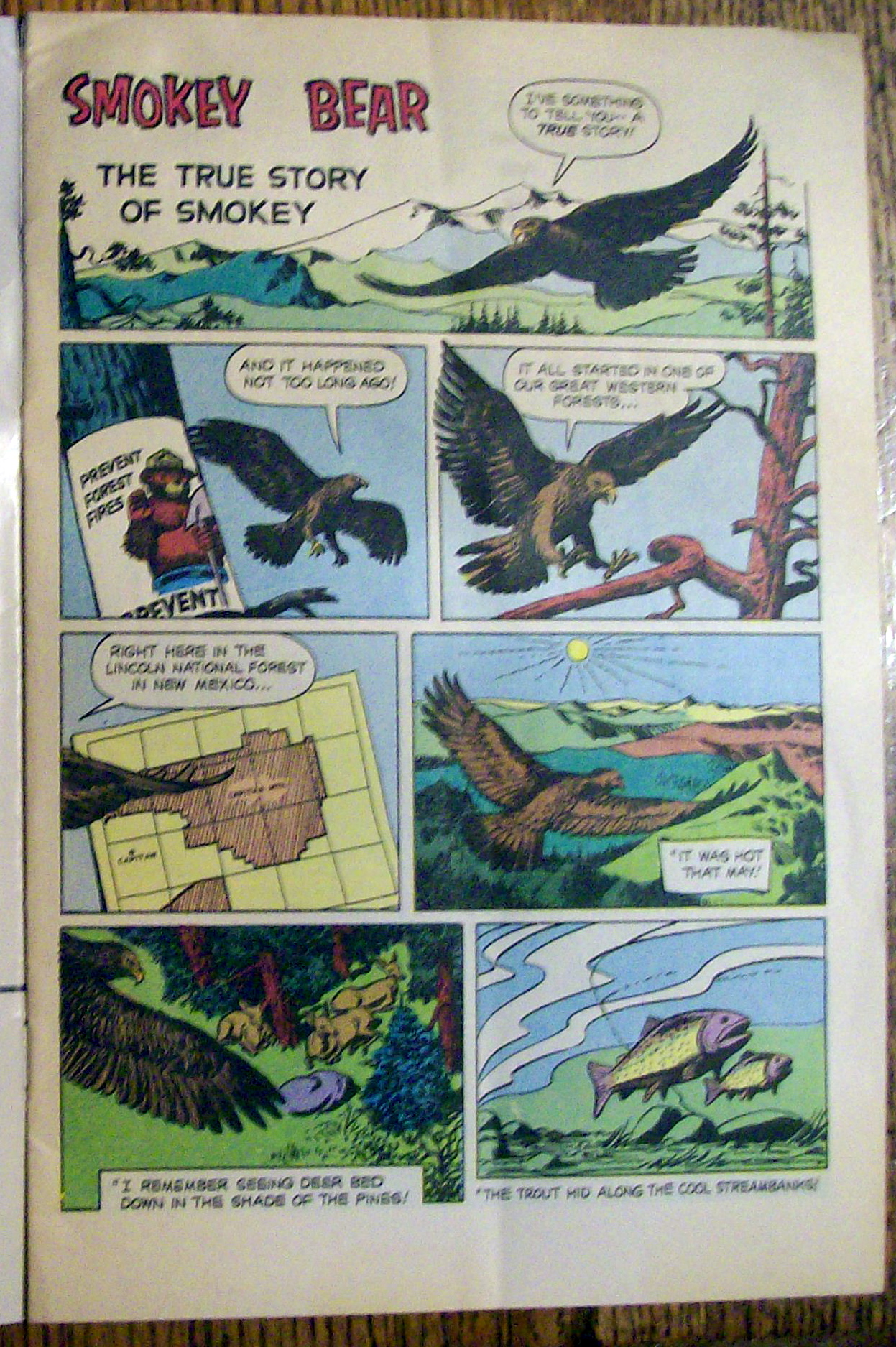 Smokey The Bear Comic - November 1987