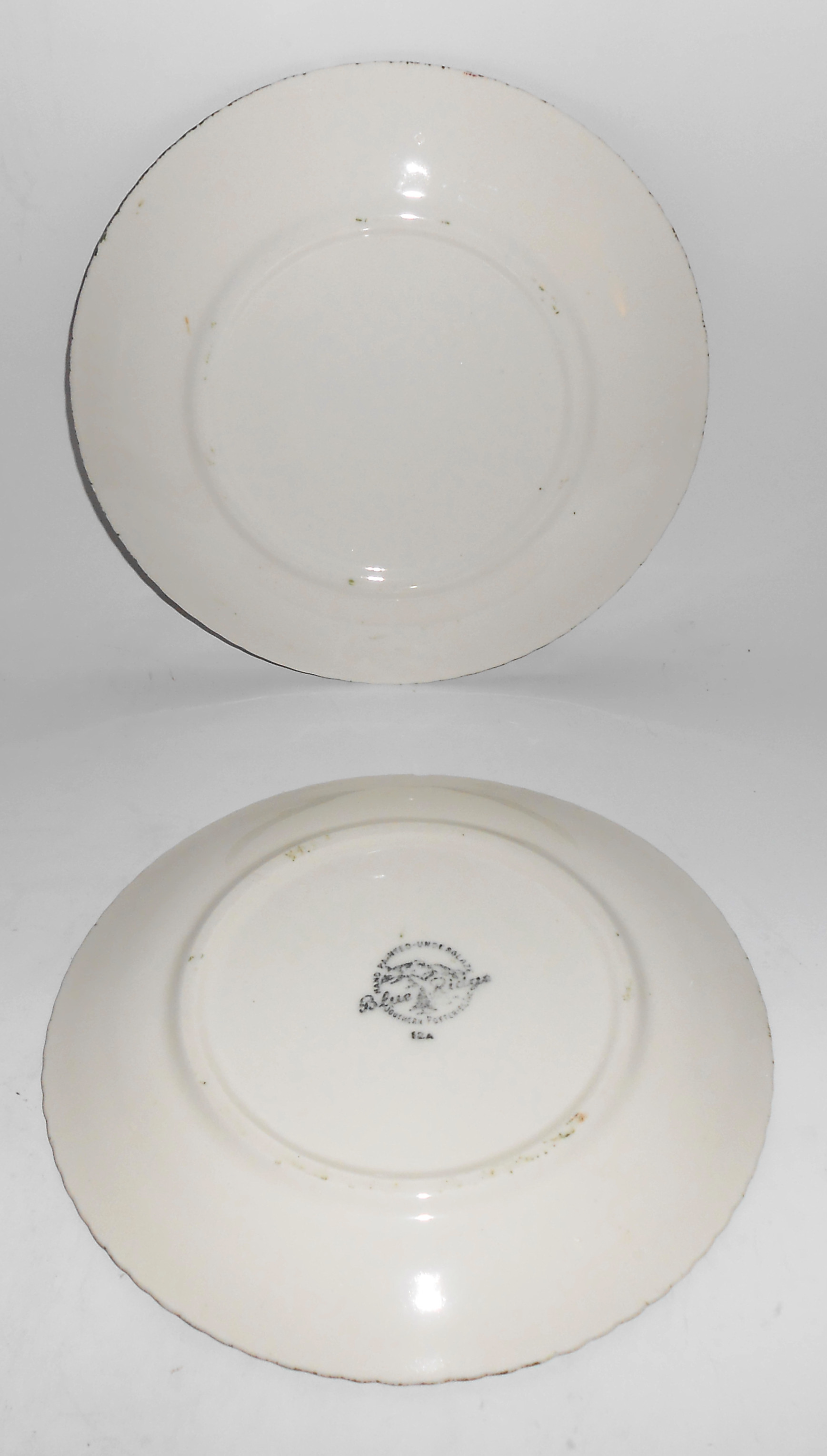 Blue Ridge Southern Potteries Quaker Apple Salad Plate