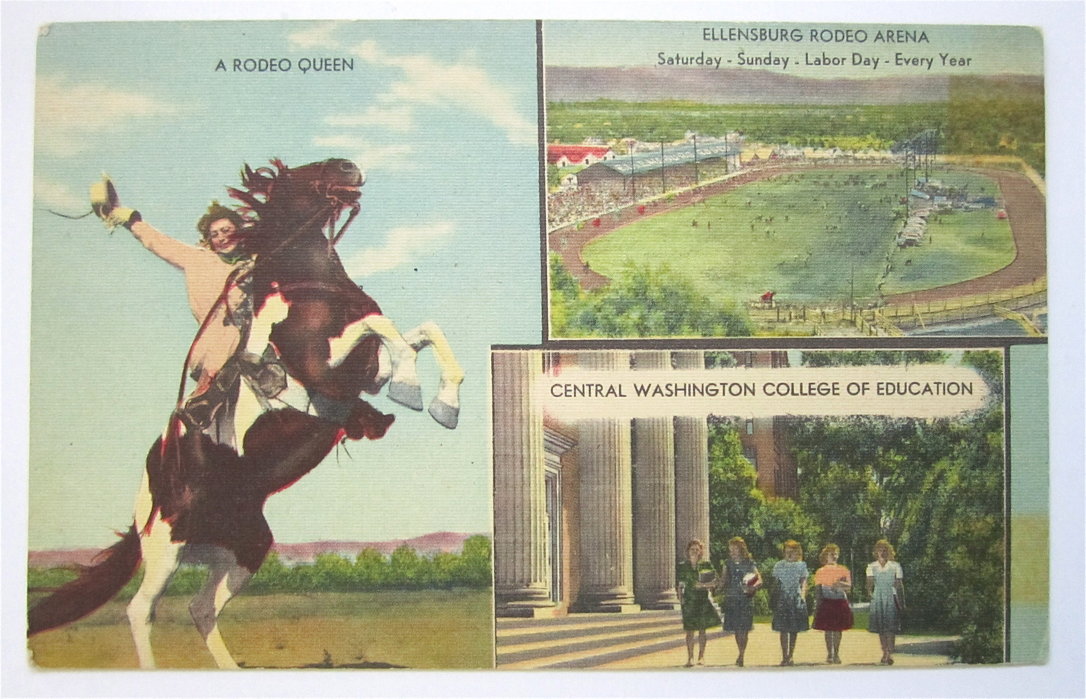 Ellensburg, Wasington Rodeo & College Postcard