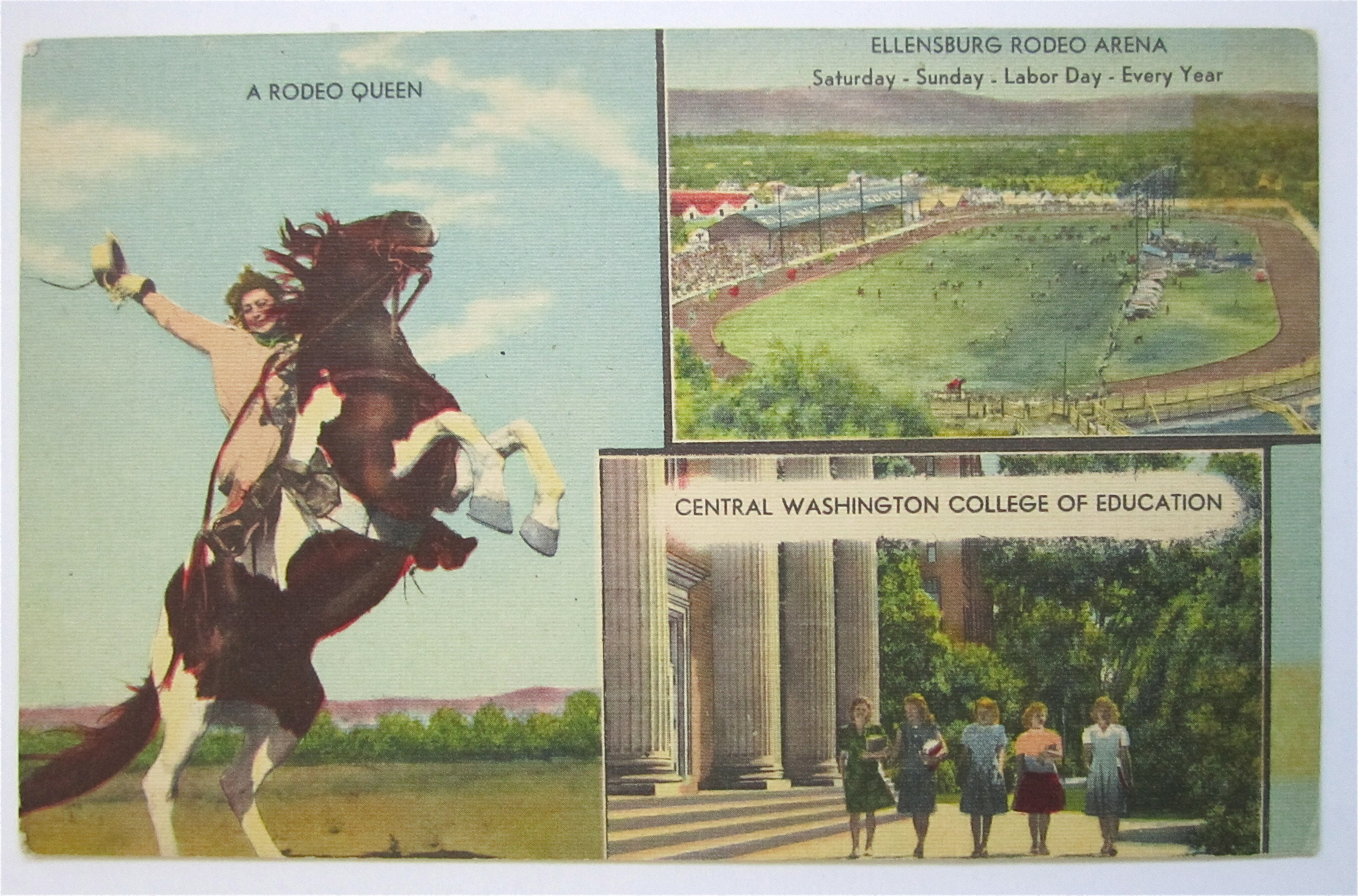 Ellensburg, Wasington Rodeo & College Postcard