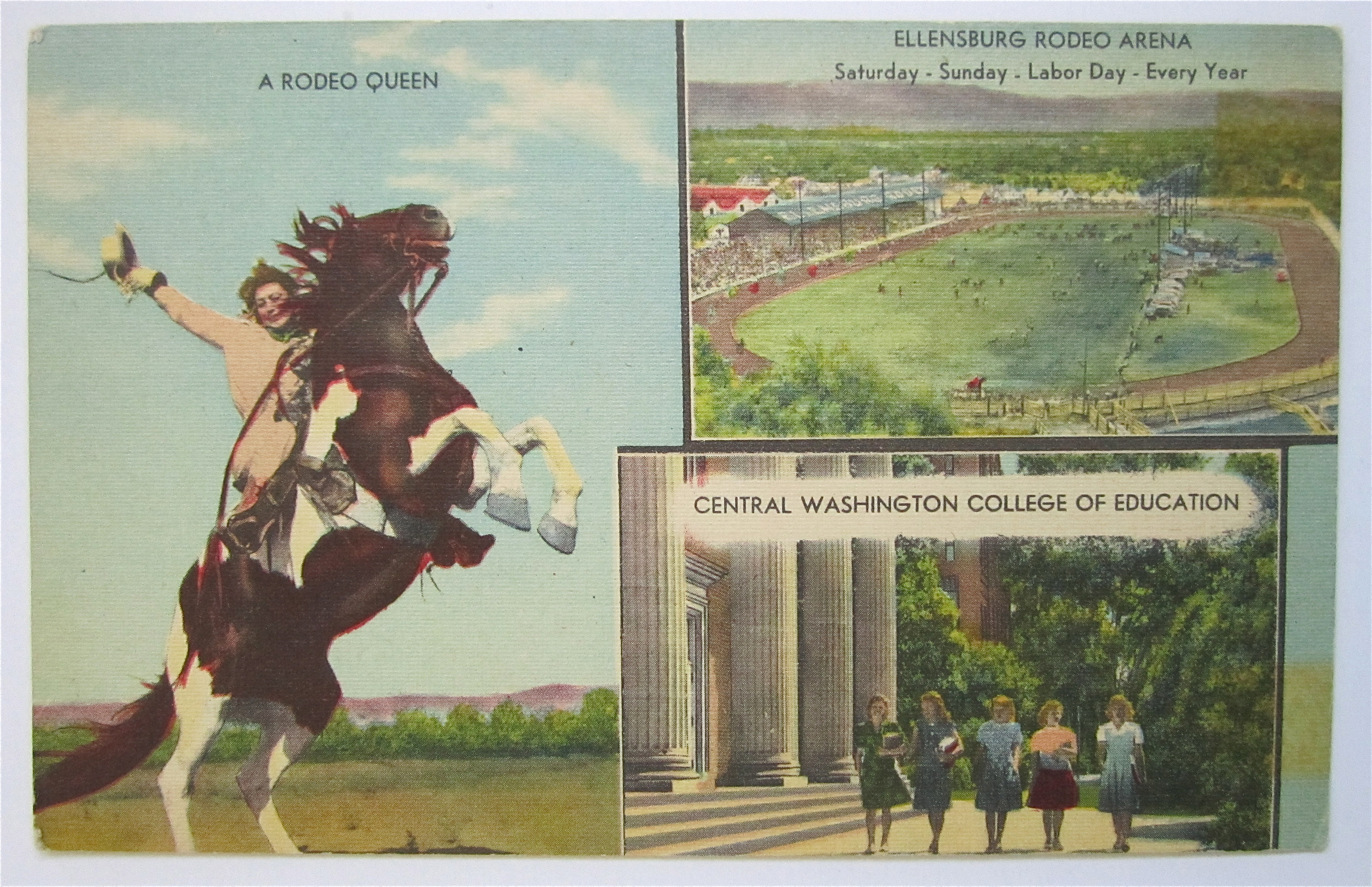Ellensburg, Wasington Rodeo & College Postcard