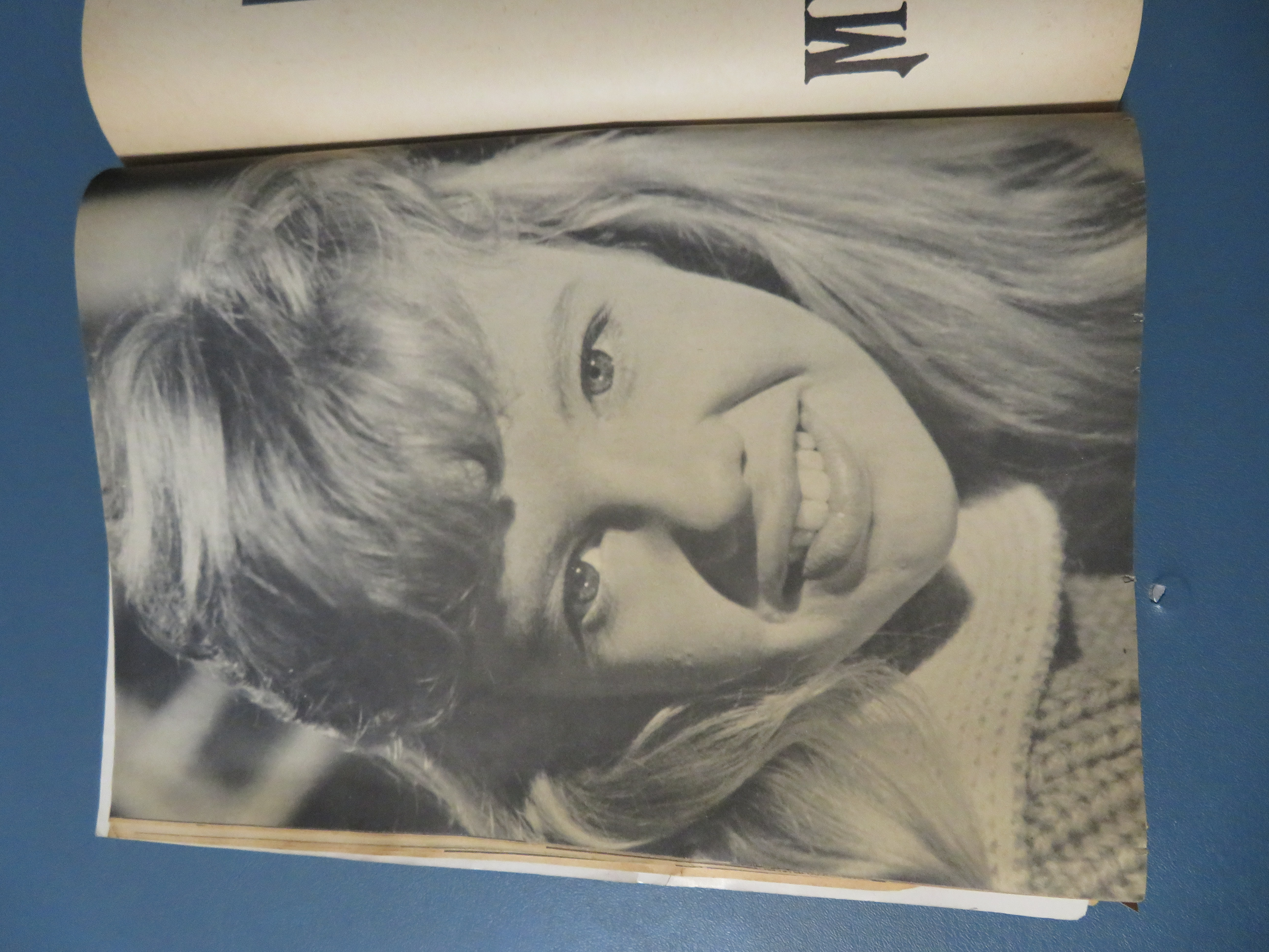 Movie Life Magazine 1962 Richard C & Hayley M