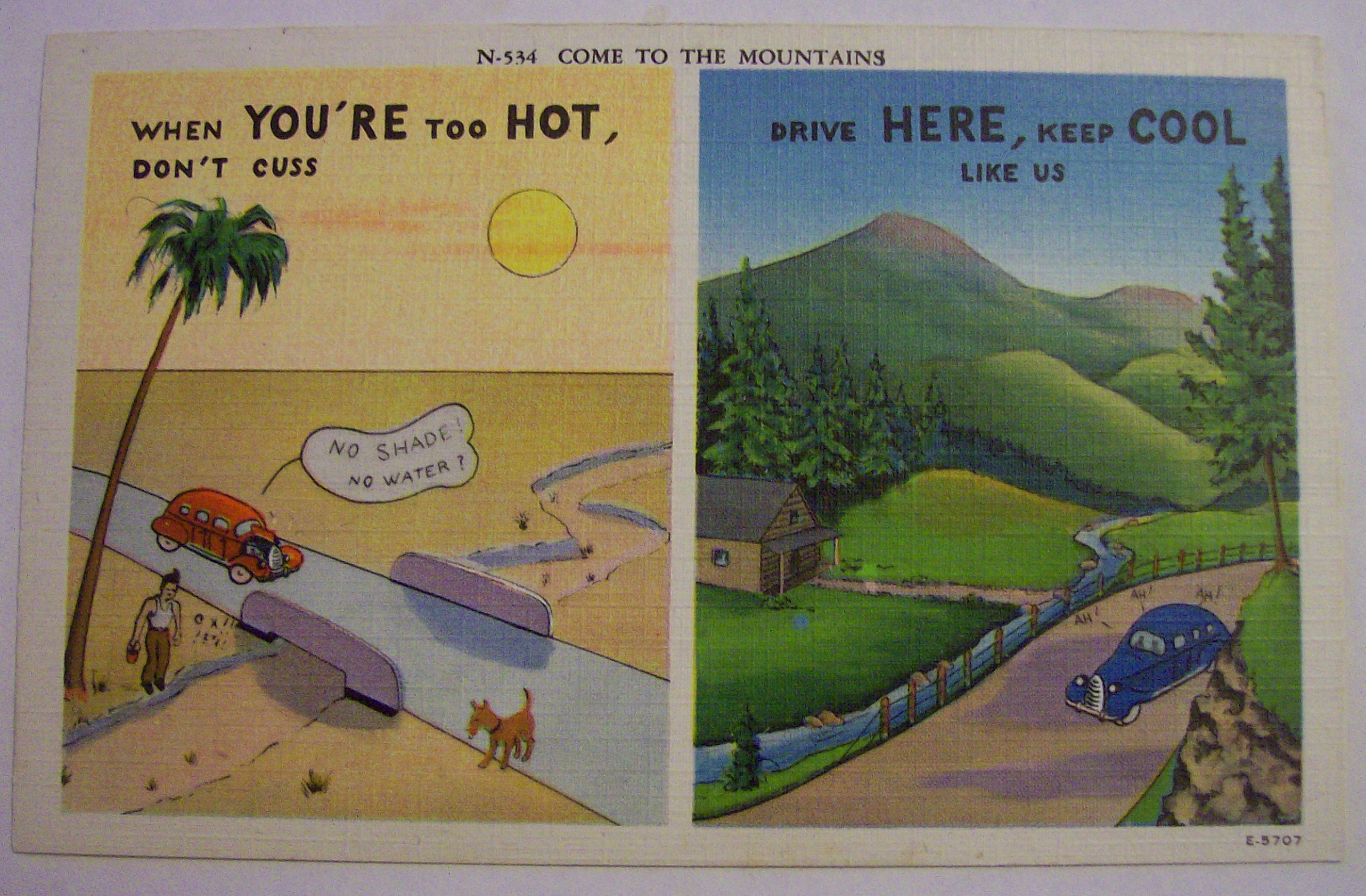 Come To The Mountains Postcard