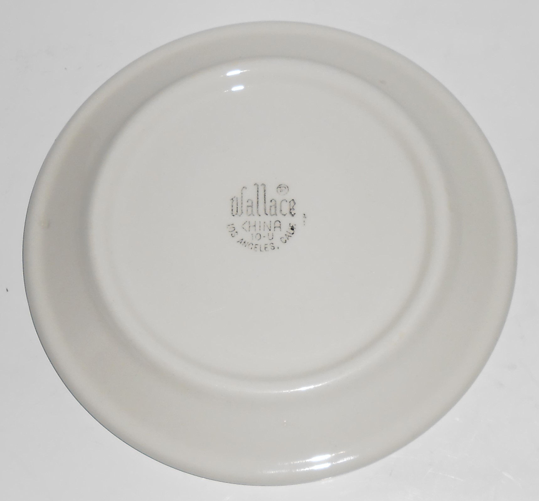 Wallace China Restaurant Ware Lt Blue Airbrushed Leaves