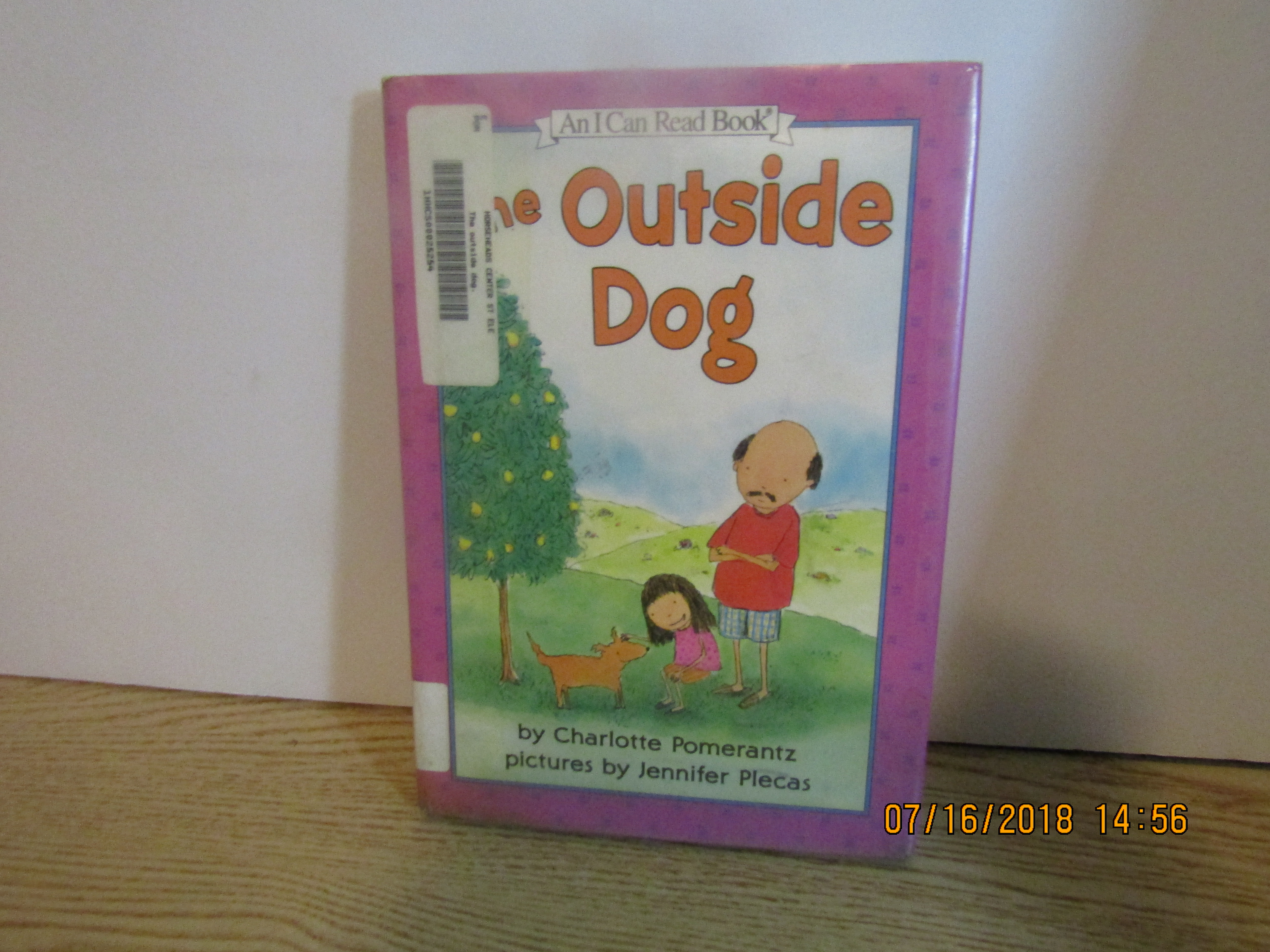 Children's An I Can Read Book Outside Dog