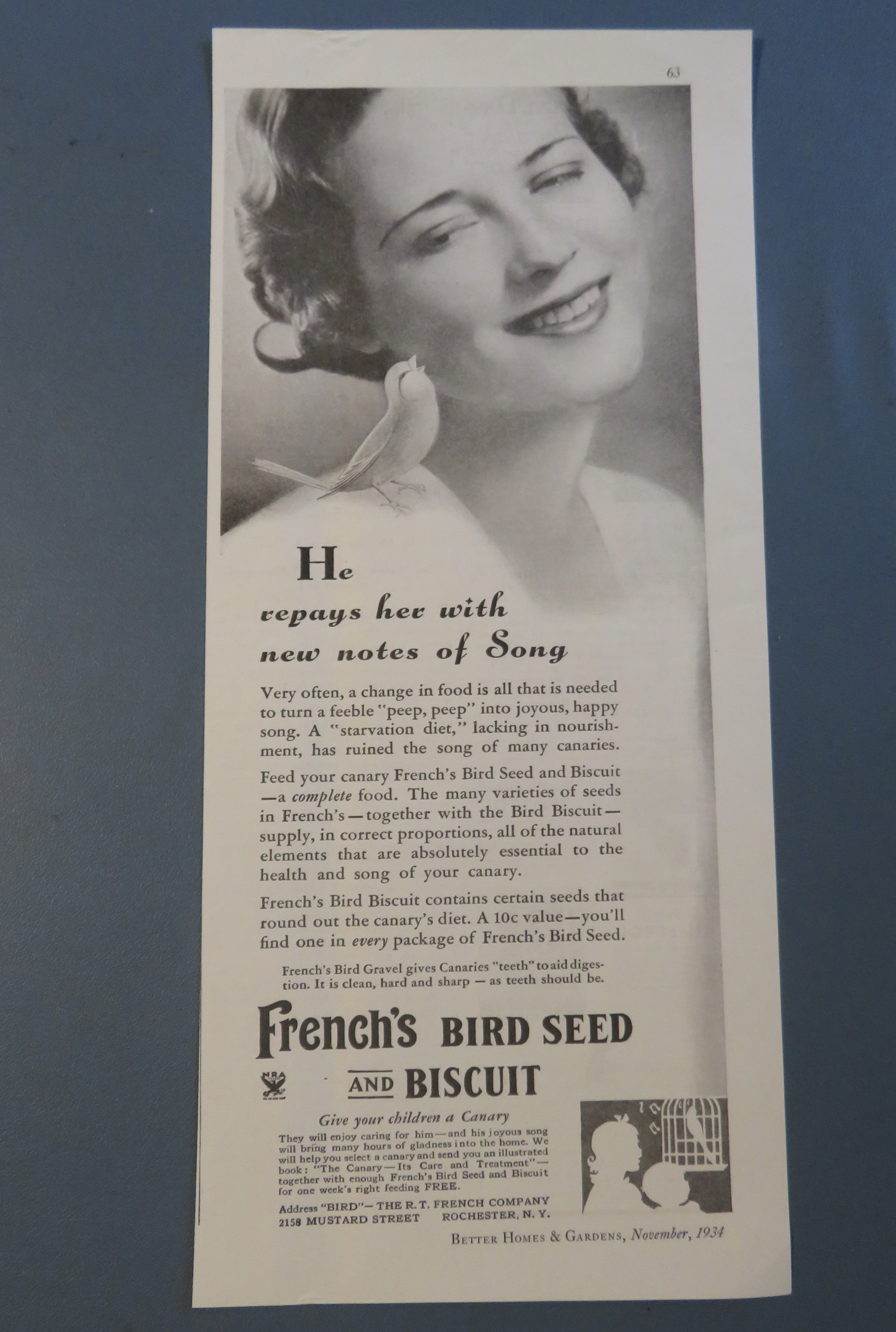 1934 French's Bird Seed & Biscuit with Woman & Bird