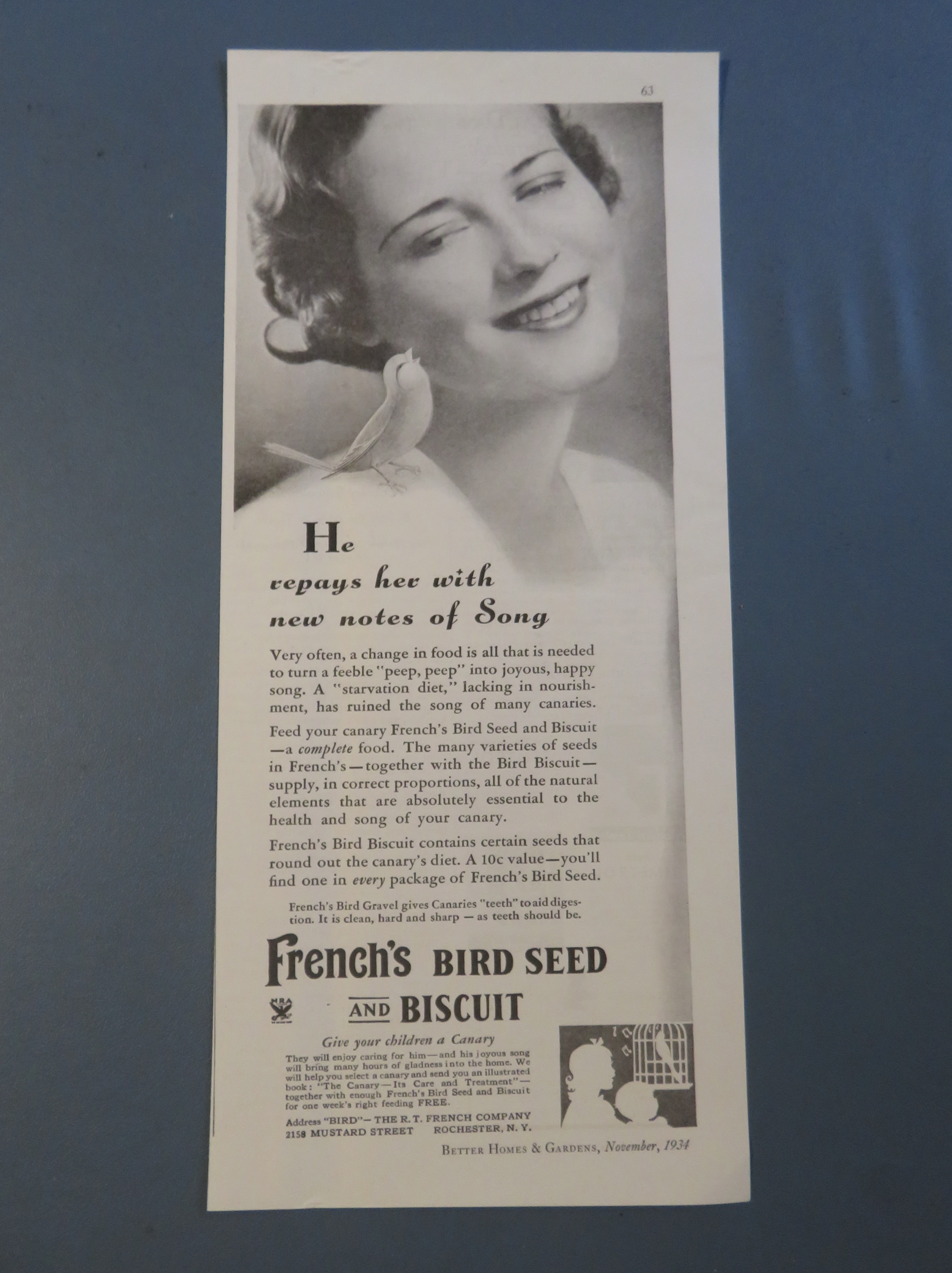 1934 French's Bird Seed & Biscuit with Woman & Bird