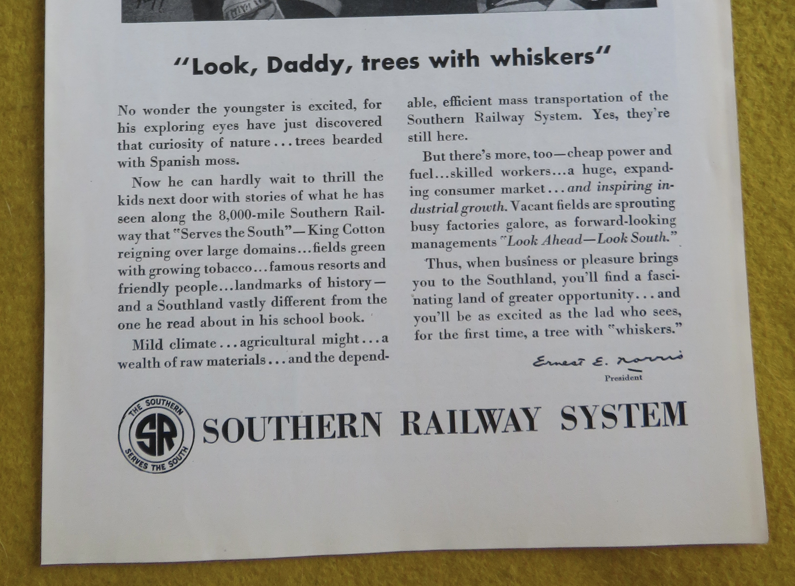 1946 Southern Railway System with Boy & Dad & Trees
