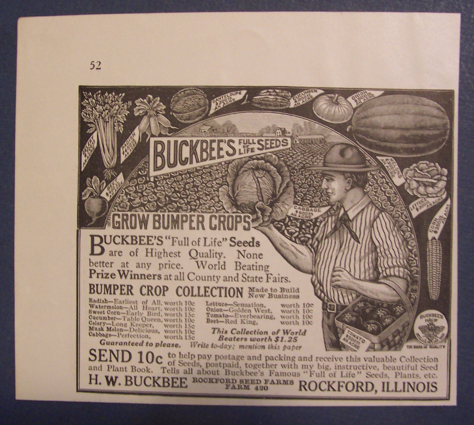 1916  Buckbee's  Seeds